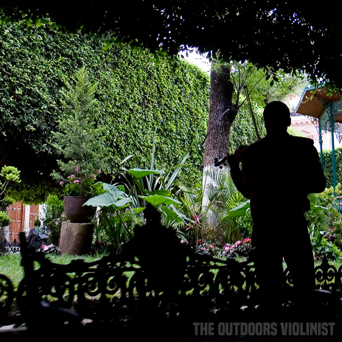 Canon EOS 30D sample photo. The outdoors violinist photography