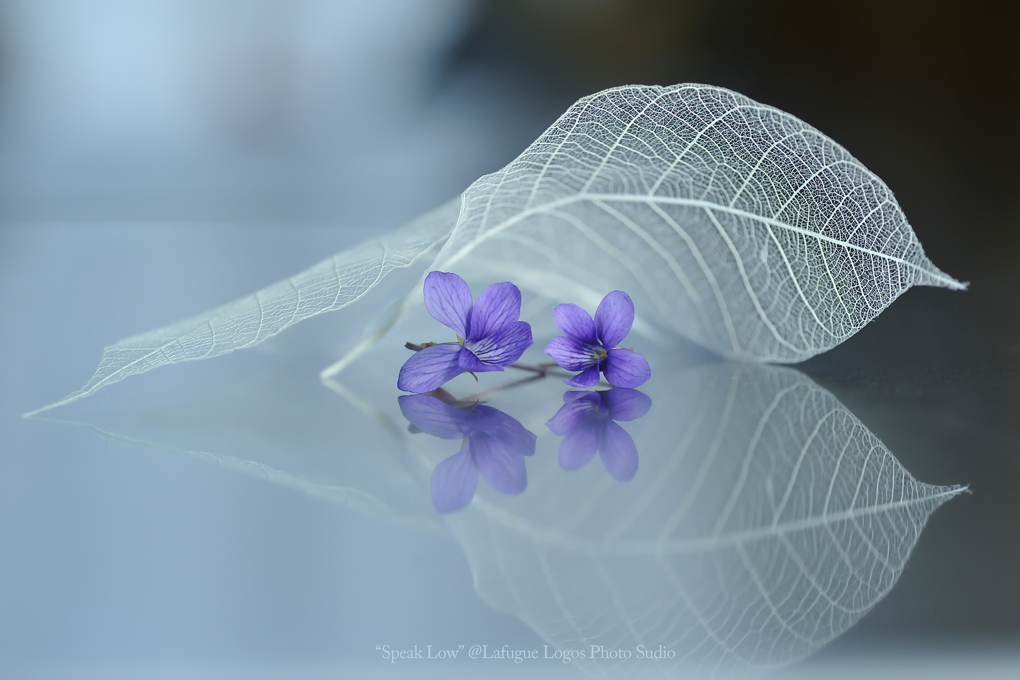 Nikon D700 sample photo. Speak low... photography