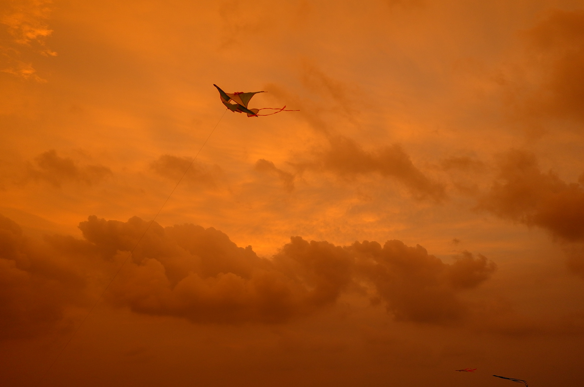 Leica X (Typ 113) sample photo. Sri lanka。gella face green beach photography