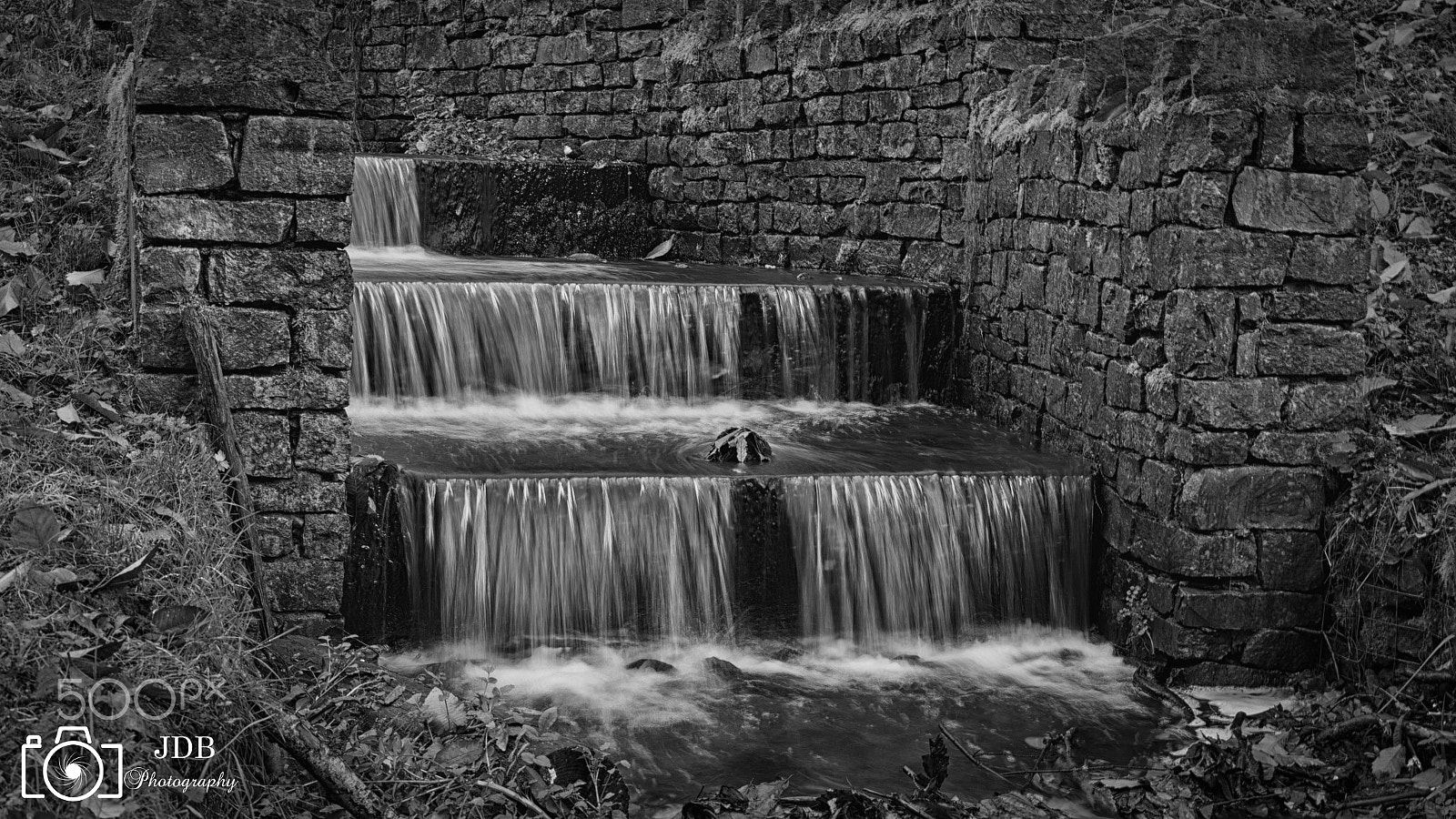 Canon EOS 70D + Sigma 24-70mm F2.8 EX DG Macro sample photo. Soudley ponds, forest of dean photography