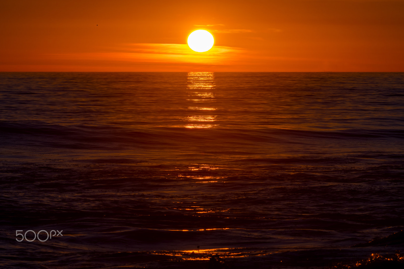 Nikon D500 sample photo. Sunset in oceanside - march 9, 2017 photography