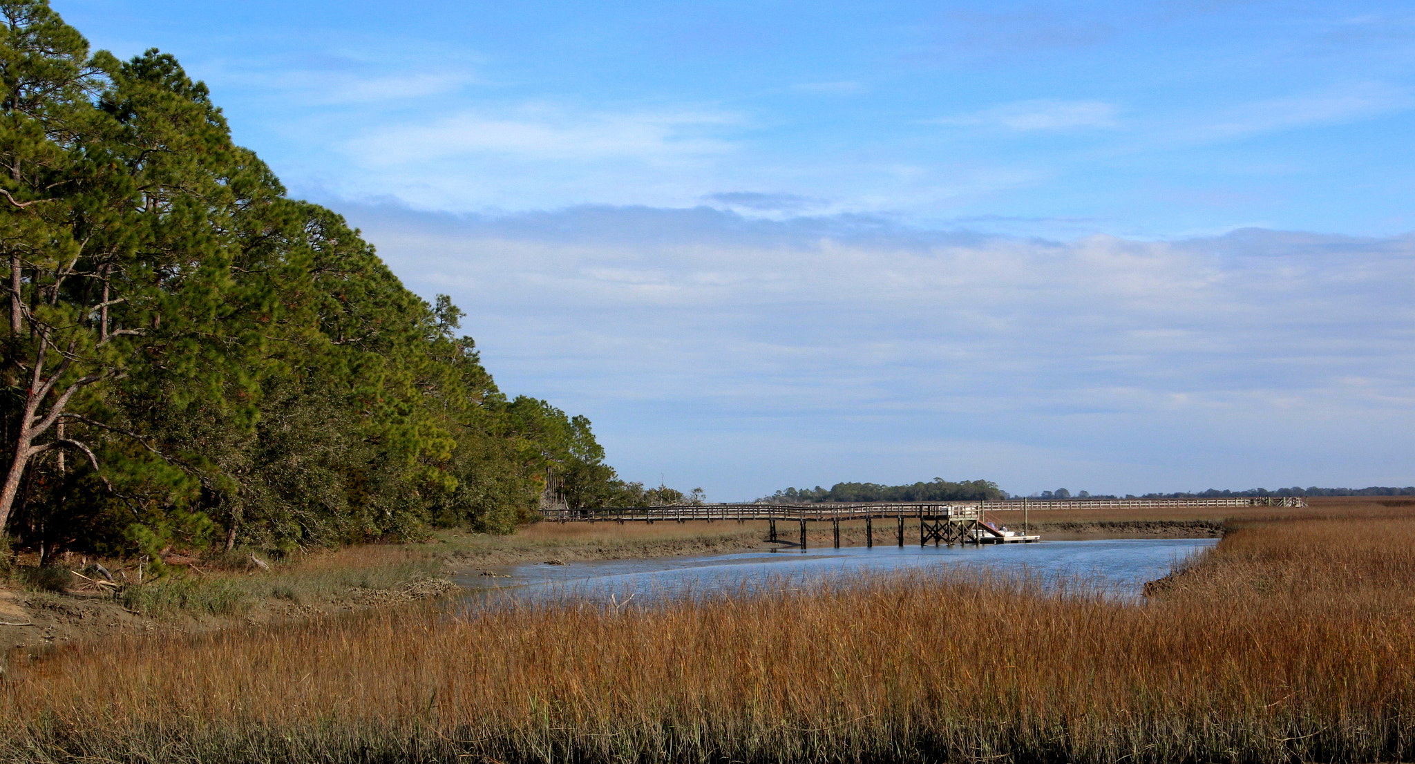 Canon EOS 600D (Rebel EOS T3i / EOS Kiss X5) sample photo. Salt marsh at kiawah island, sc photography