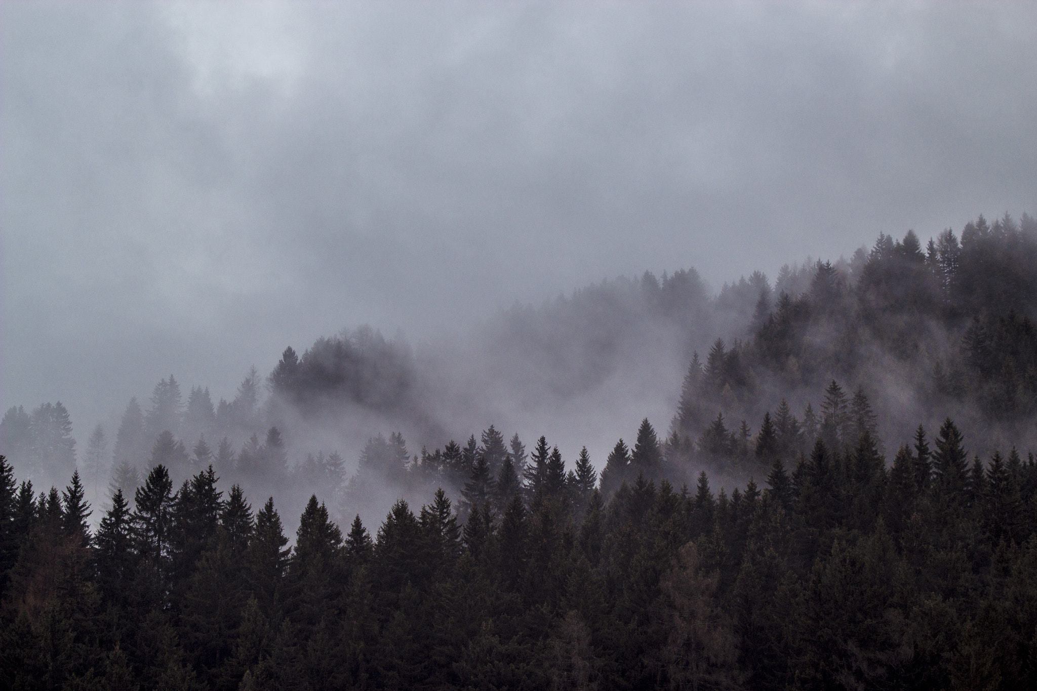 Canon EF 35-80mm f/4-5.6 sample photo. Foggy morning in south tyrol photography
