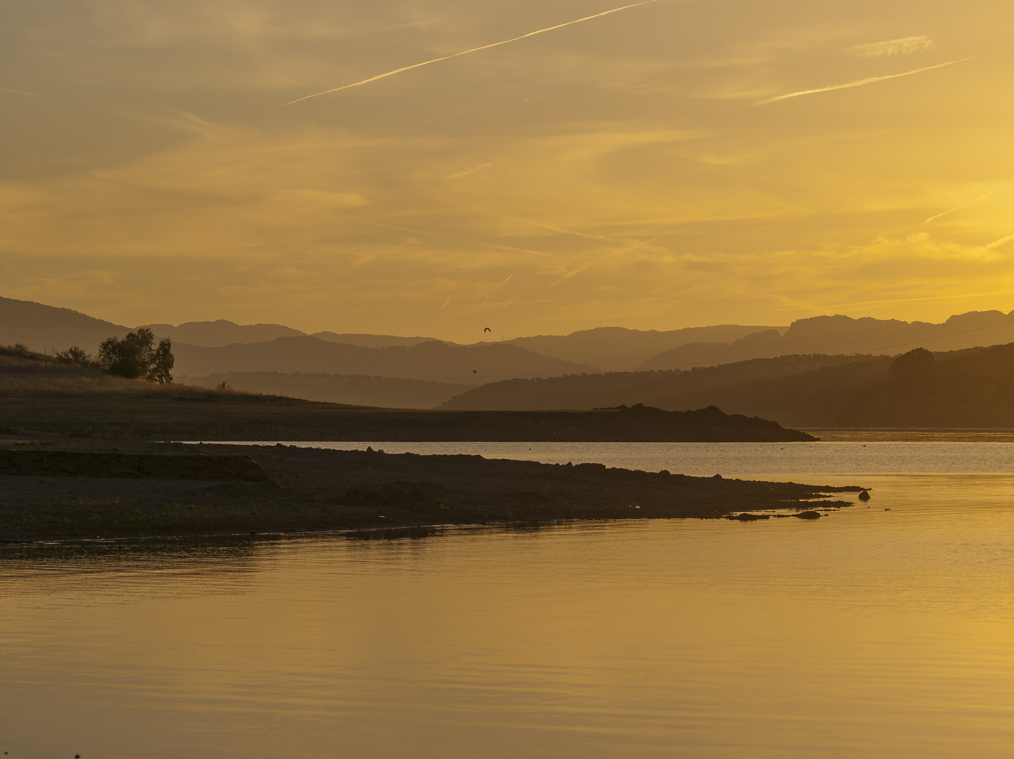 Olympus Zuiko Digital ED 70-300mm F4.0-5.6 sample photo. Buenos dias!!/good morning!! photography