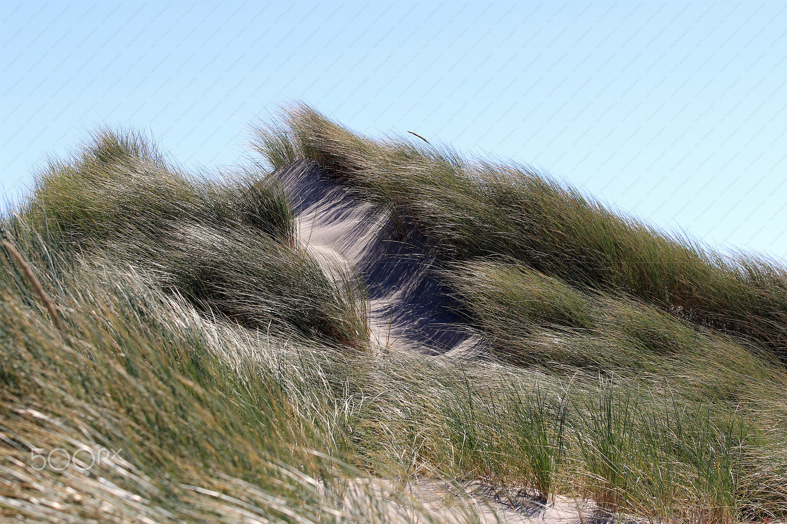 Canon EF 70-300mm F4-5.6 IS USM sample photo. Sand dune 1 photography