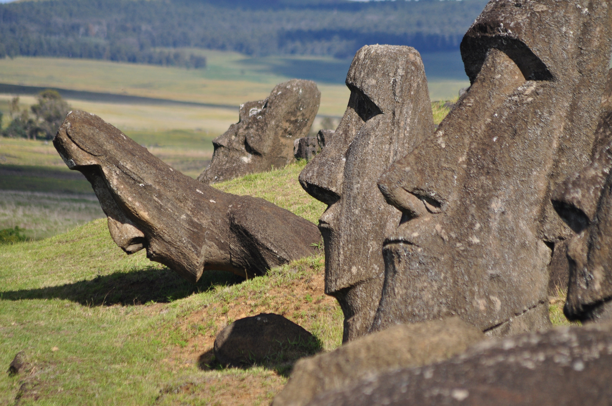 Sigma 70-300mm F4-5.6 APO DG Macro sample photo. The moai factory photography