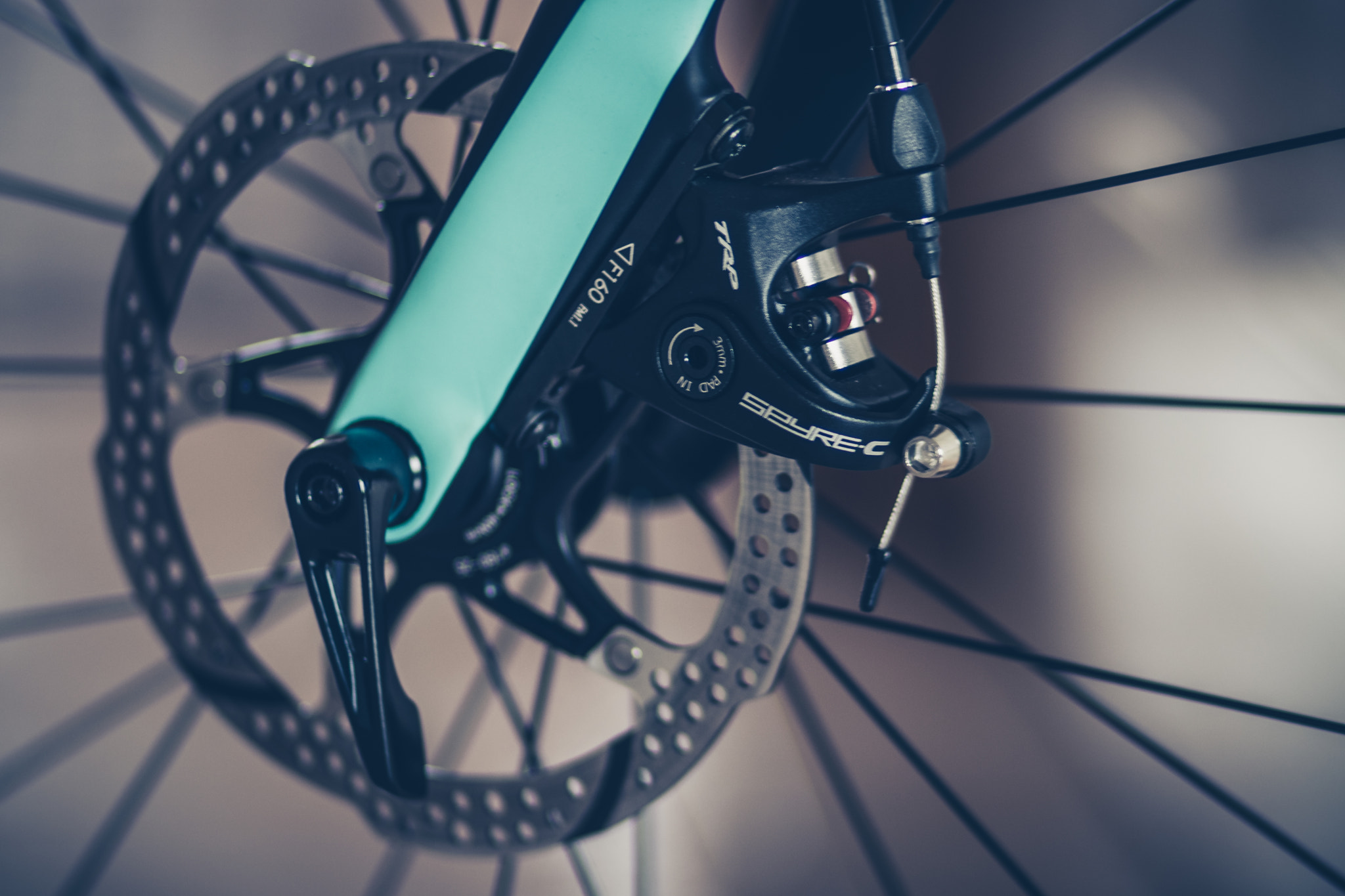 Canon EOS 80D + Canon EF 85mm F1.8 USM sample photo. Dash of turquoise photography