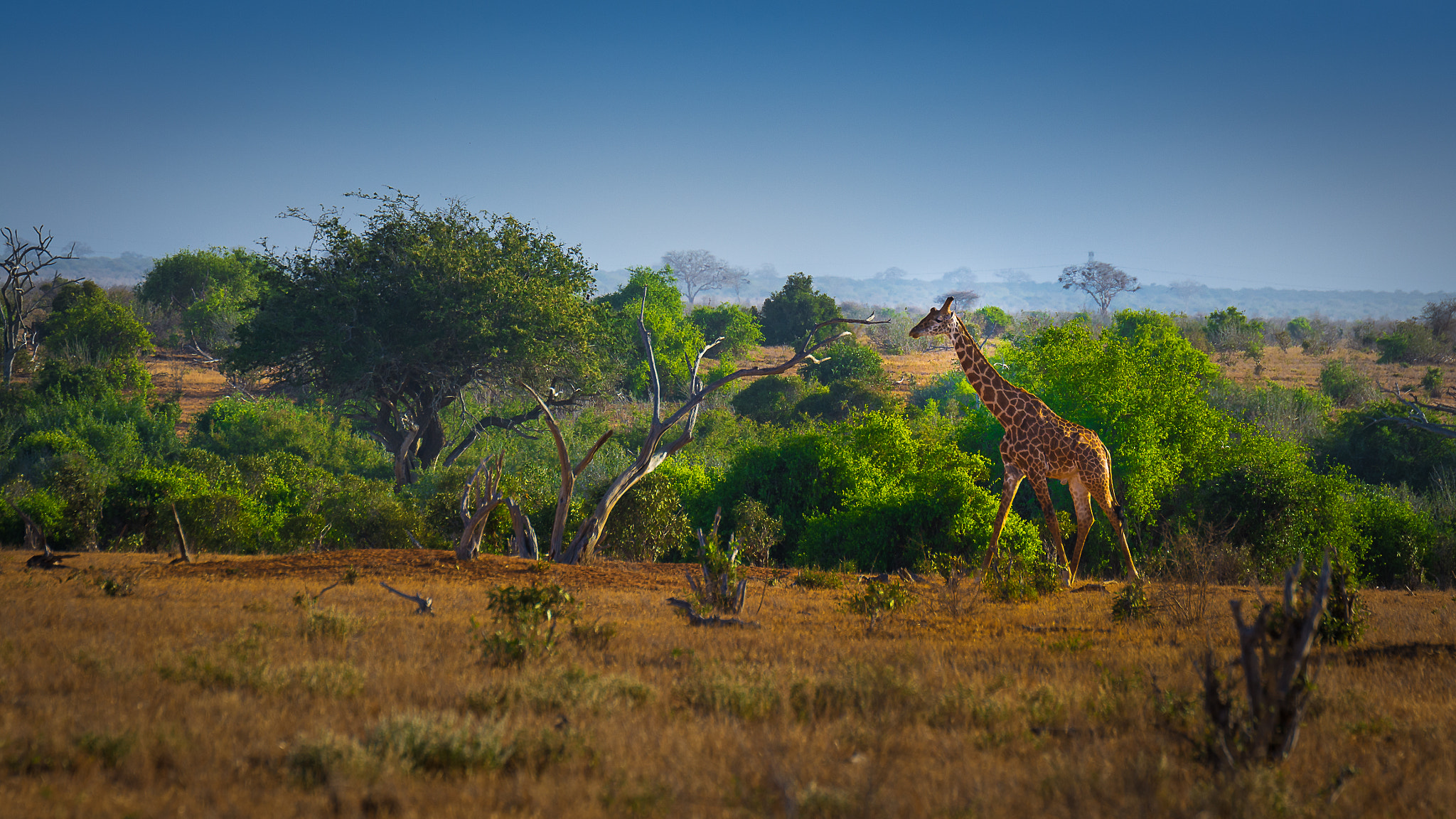 Nikon D7100 + Tamron SP 70-200mm F2.8 Di VC USD sample photo. African landscape ii photography