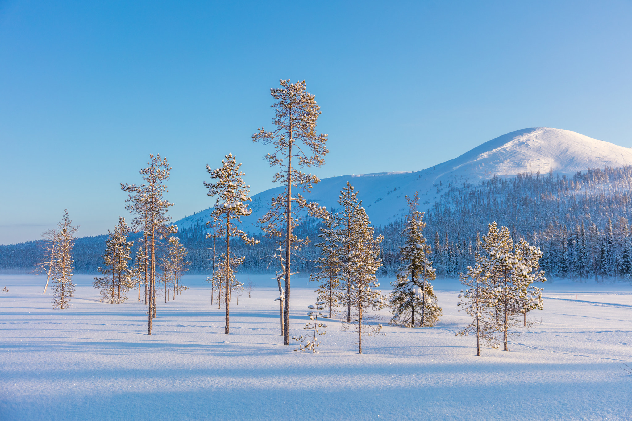 Canon EOS 5DS R sample photo. Northern winter landscape photography