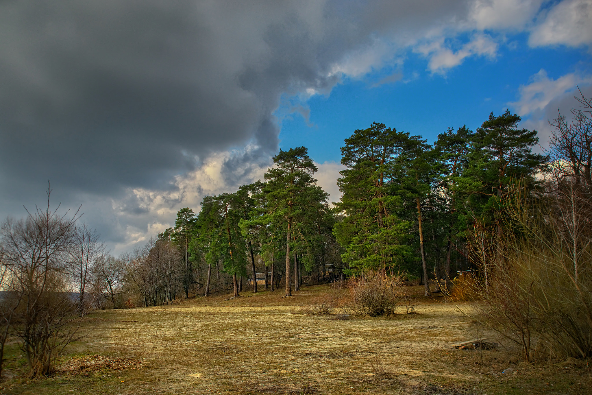 Nikon D800E sample photo. Edge photography