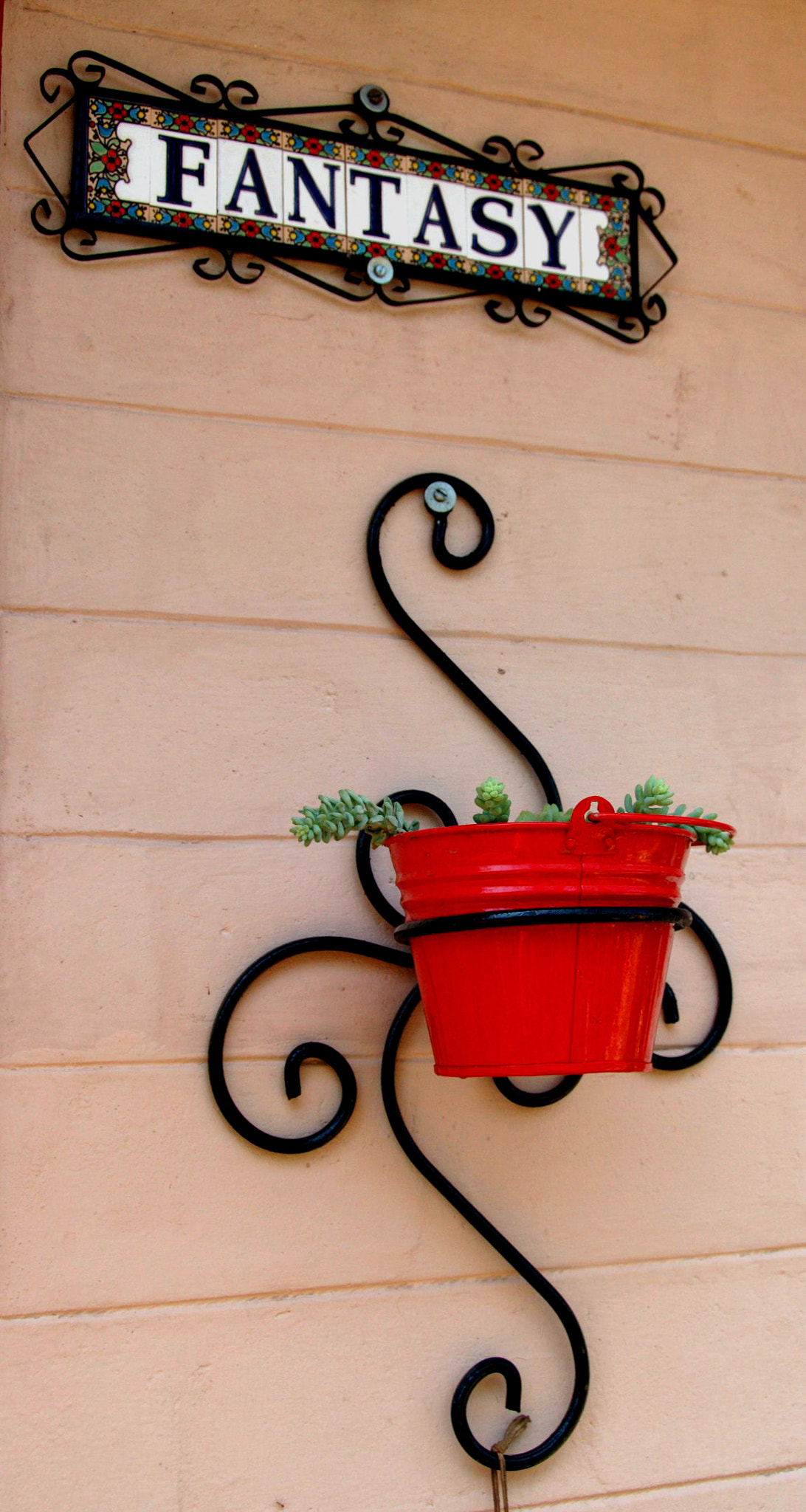 Nikon D70 sample photo. Fs signature photography