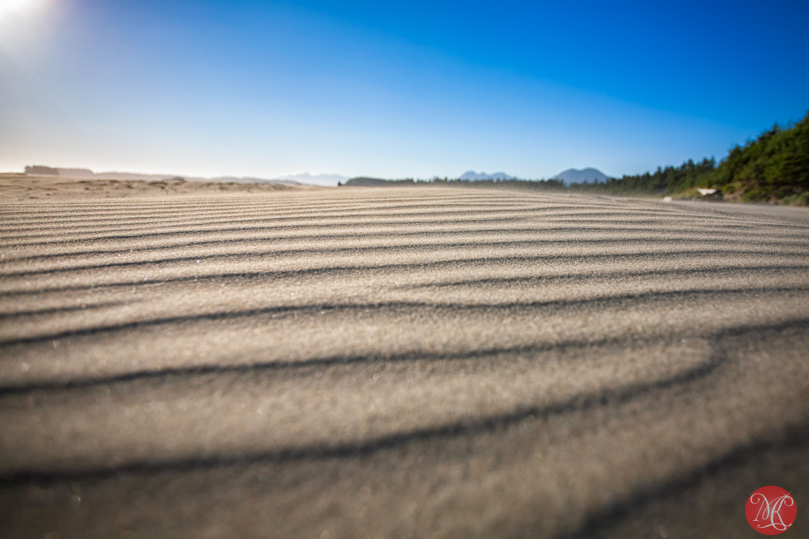 Canon EOS 5D + Canon EF 17-40mm F4L USM sample photo. In motion photography