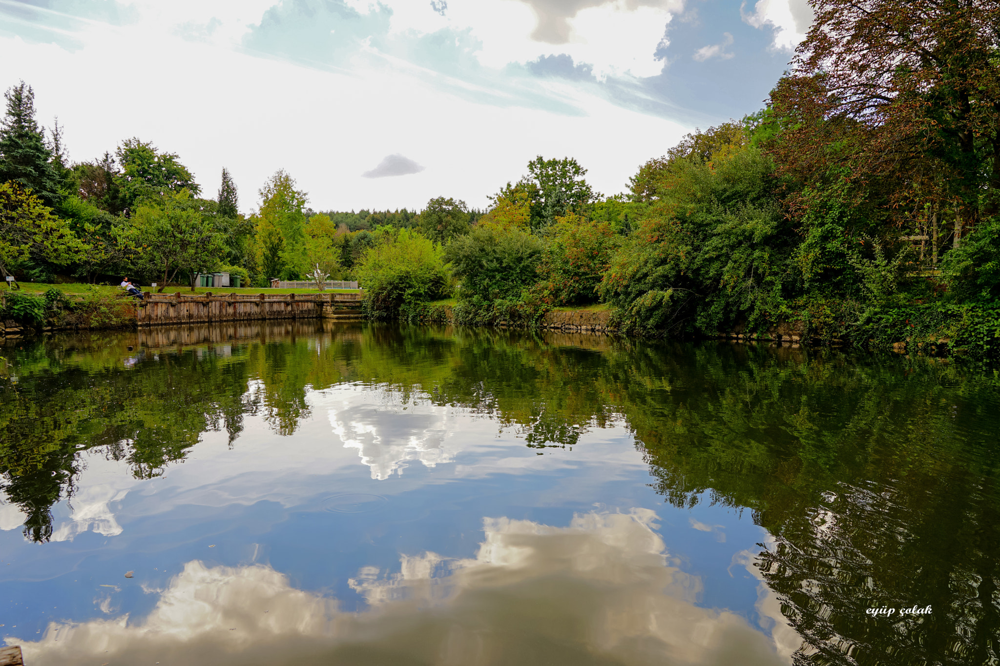 Sony a7 II + Sony FE 24-70mm F2.8 GM sample photo. Dsc photography