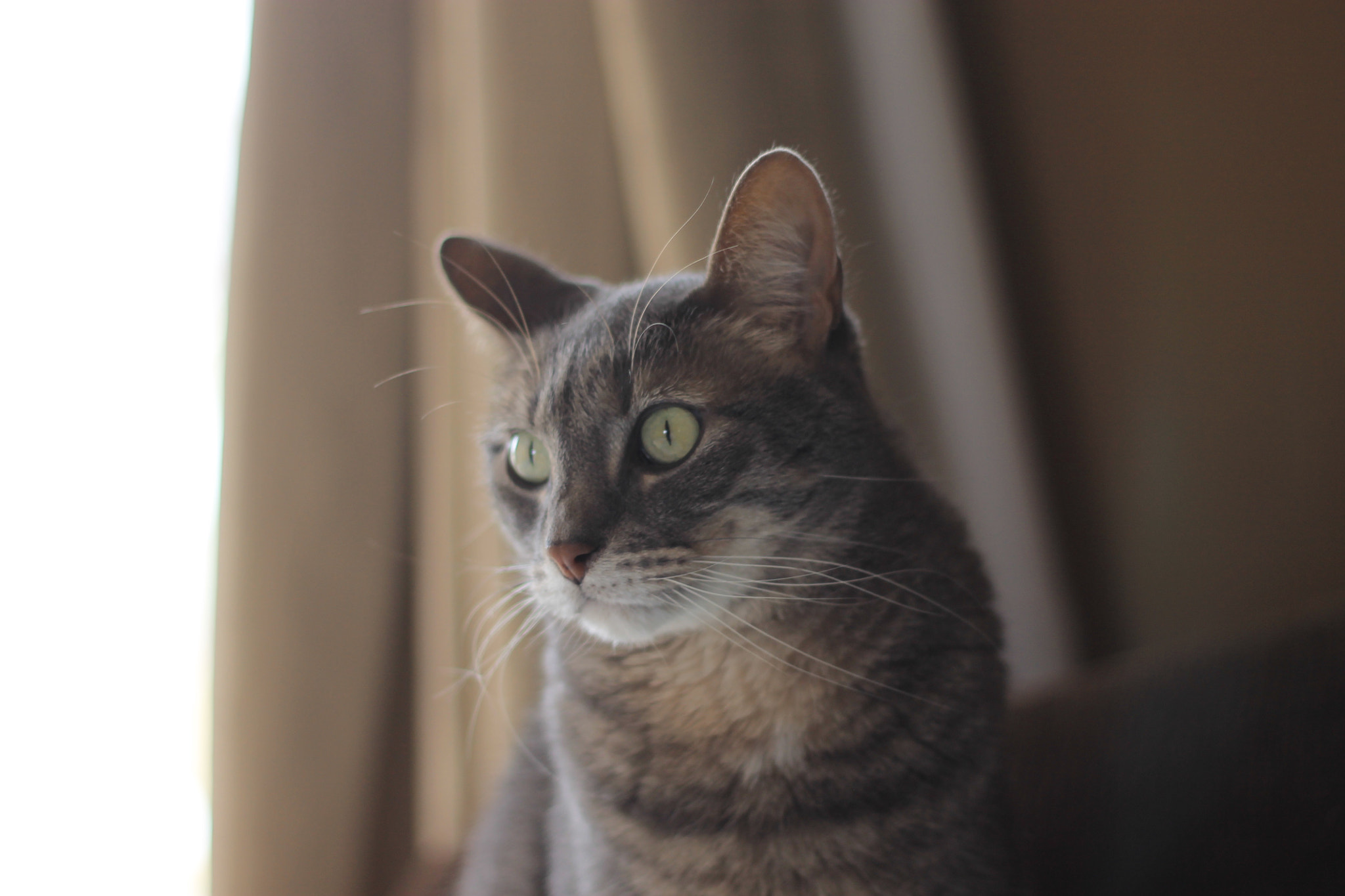 Canon EOS 1100D (EOS Rebel T3 / EOS Kiss X50) sample photo. Thoughtful photography