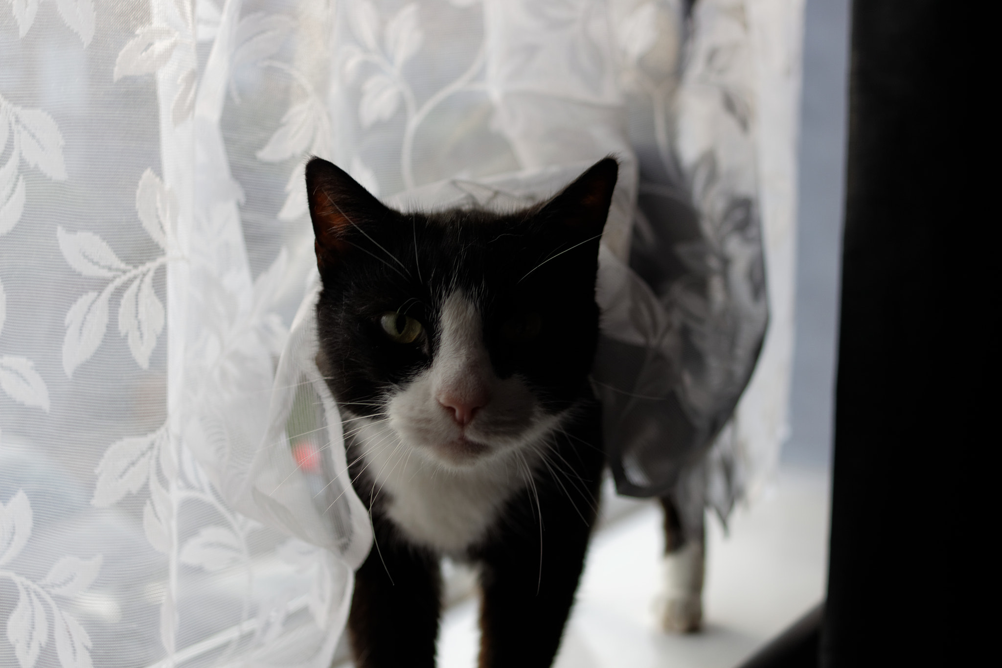 Canon EOS 700D (EOS Rebel T5i / EOS Kiss X7i) + Canon EF 28mm F2.8 sample photo. Martley (1) photography
