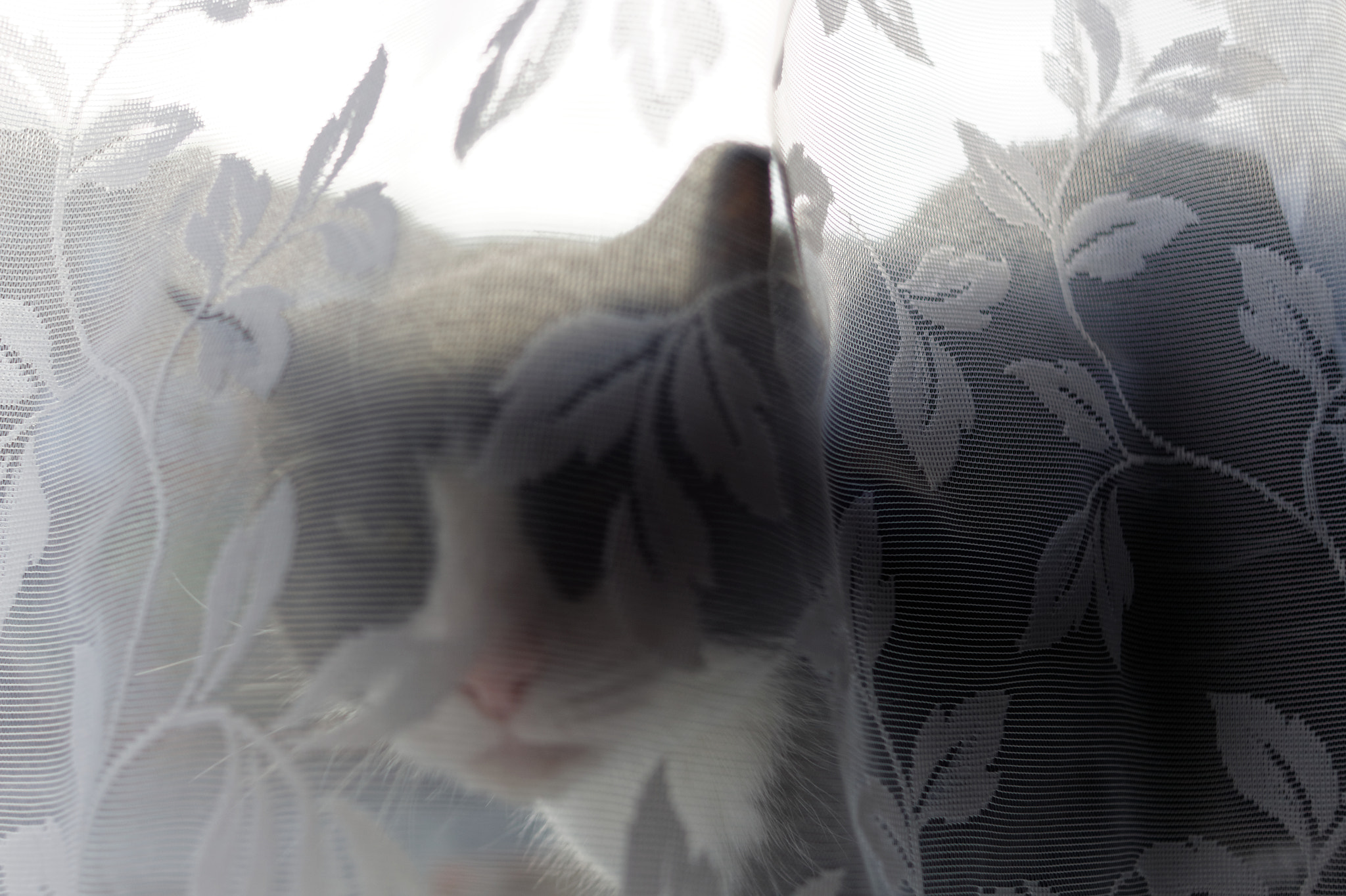 Canon EOS 700D (EOS Rebel T5i / EOS Kiss X7i) + Canon EF 28mm F2.8 sample photo. Martley (2) photography