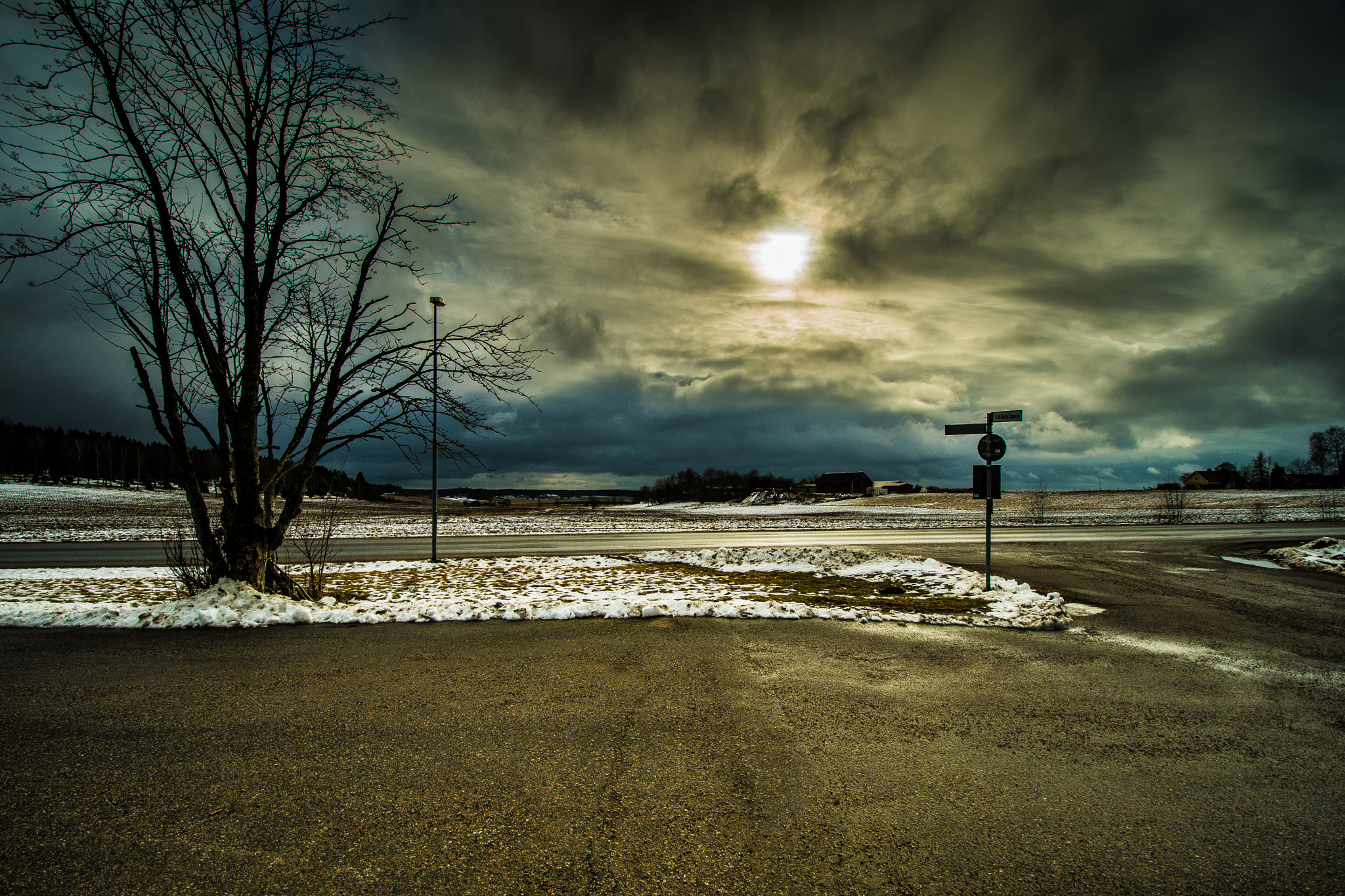 Nikon D500 sample photo. 33321232956.jpg photography