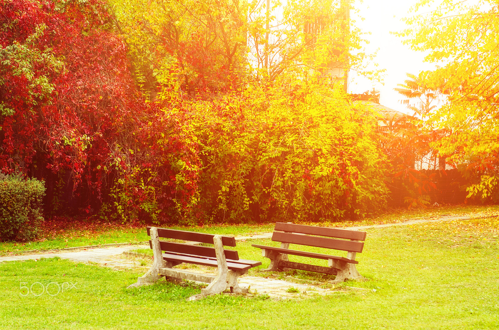 Nikon AF-S Nikkor 24-70mm F2.8G ED sample photo. Autumn beautiful park photography
