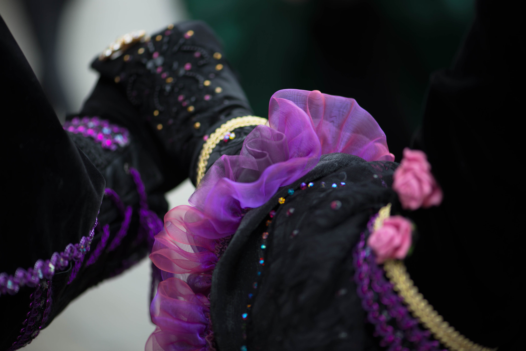 Nikon AF-S Micro-Nikkor 105mm F2.8G IF-ED VR sample photo