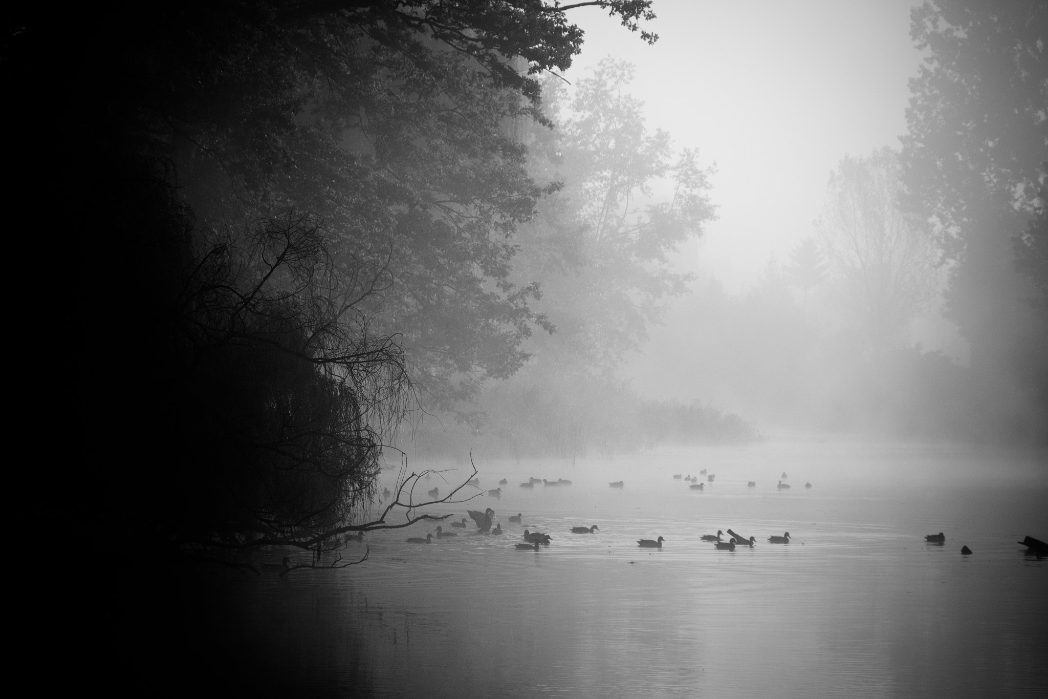 Sigma 18-200mm f/3.5-6.3 DC OS sample photo. Foggy day photography