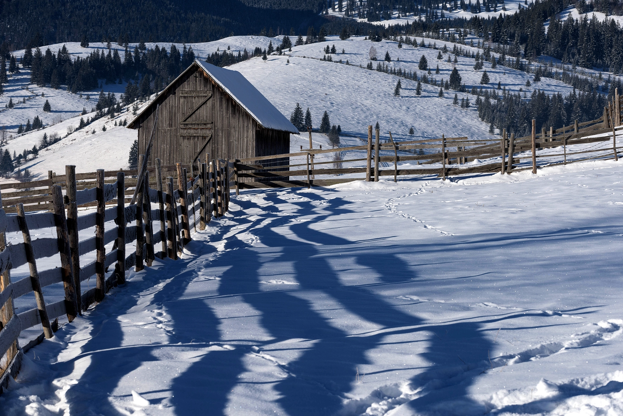 Nikon D810 sample photo. Strong shadows photography