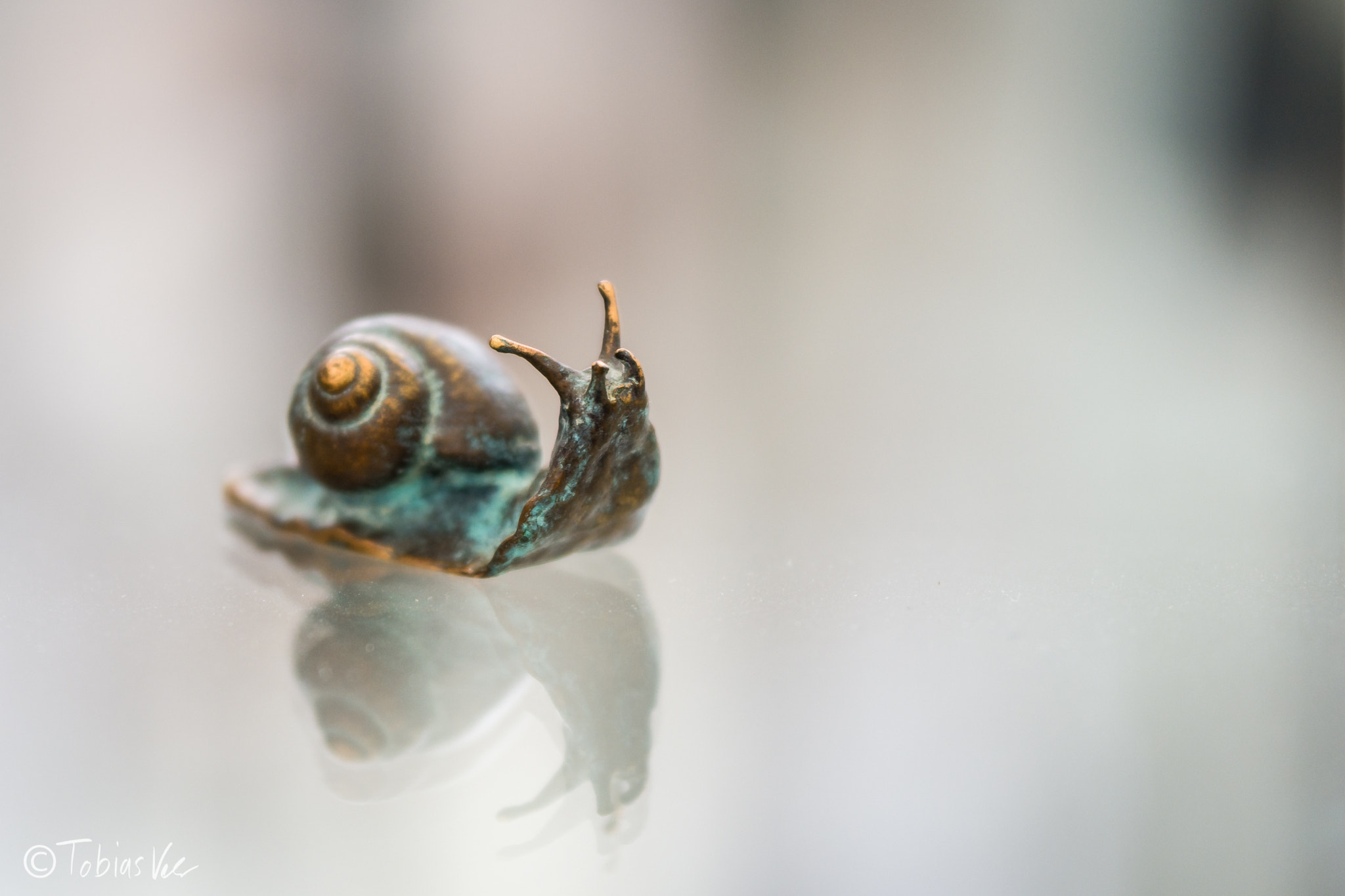 Sigma 50-100mm F1.8 DC HSM Art sample photo. Spiegende schnecke photography