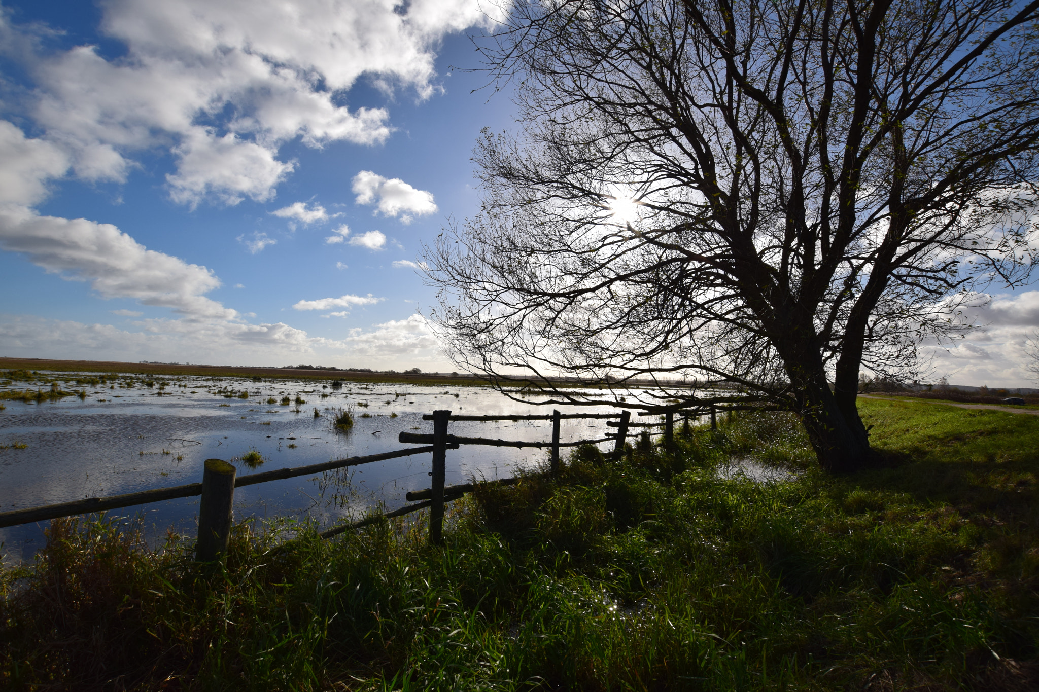 Nikon D5300 + Sigma 10-20mm F3.5 EX DC HSM sample photo. Sunny autumn day. photography