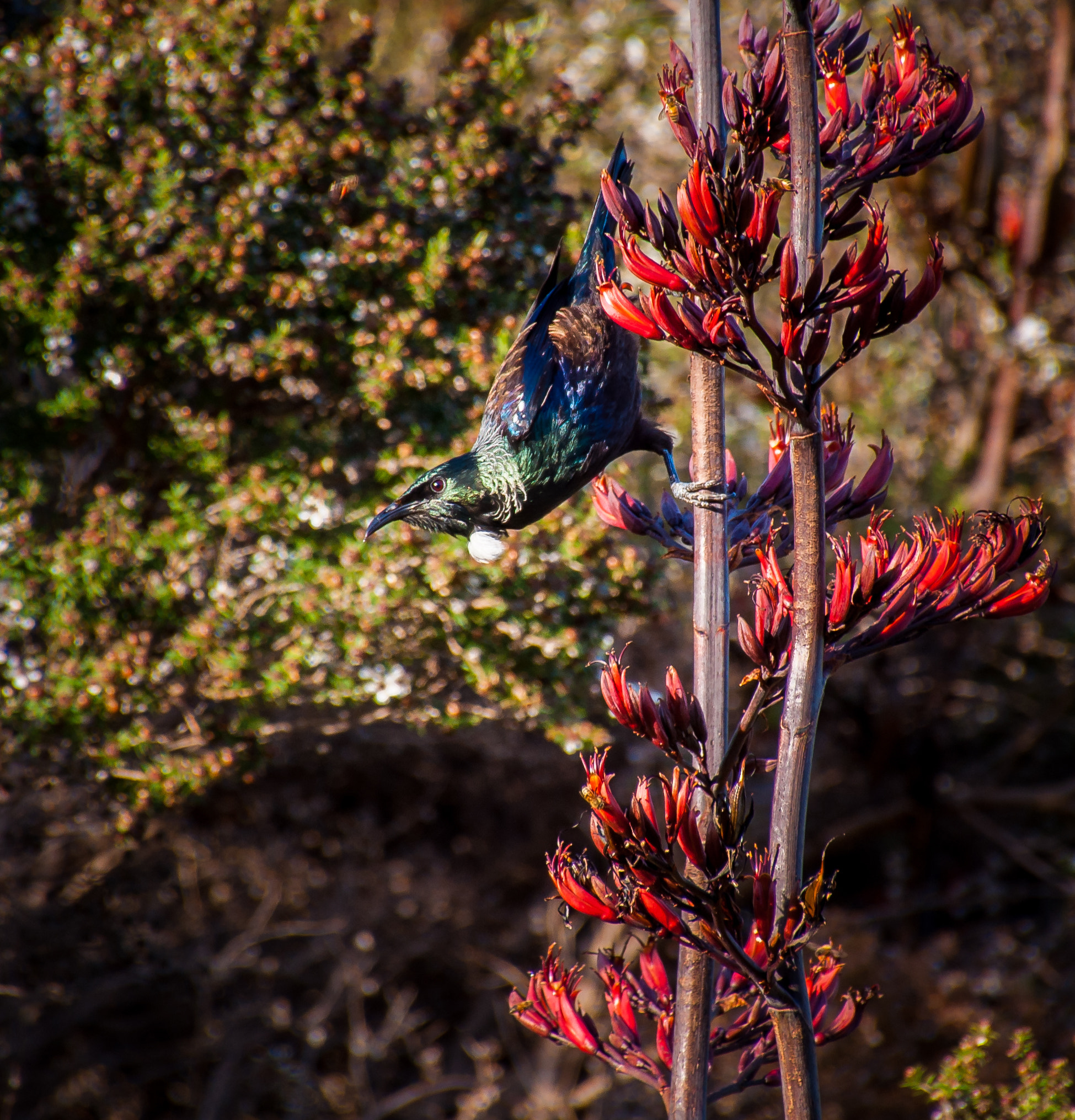 Nikon D5000 sample photo. On the lookout photography