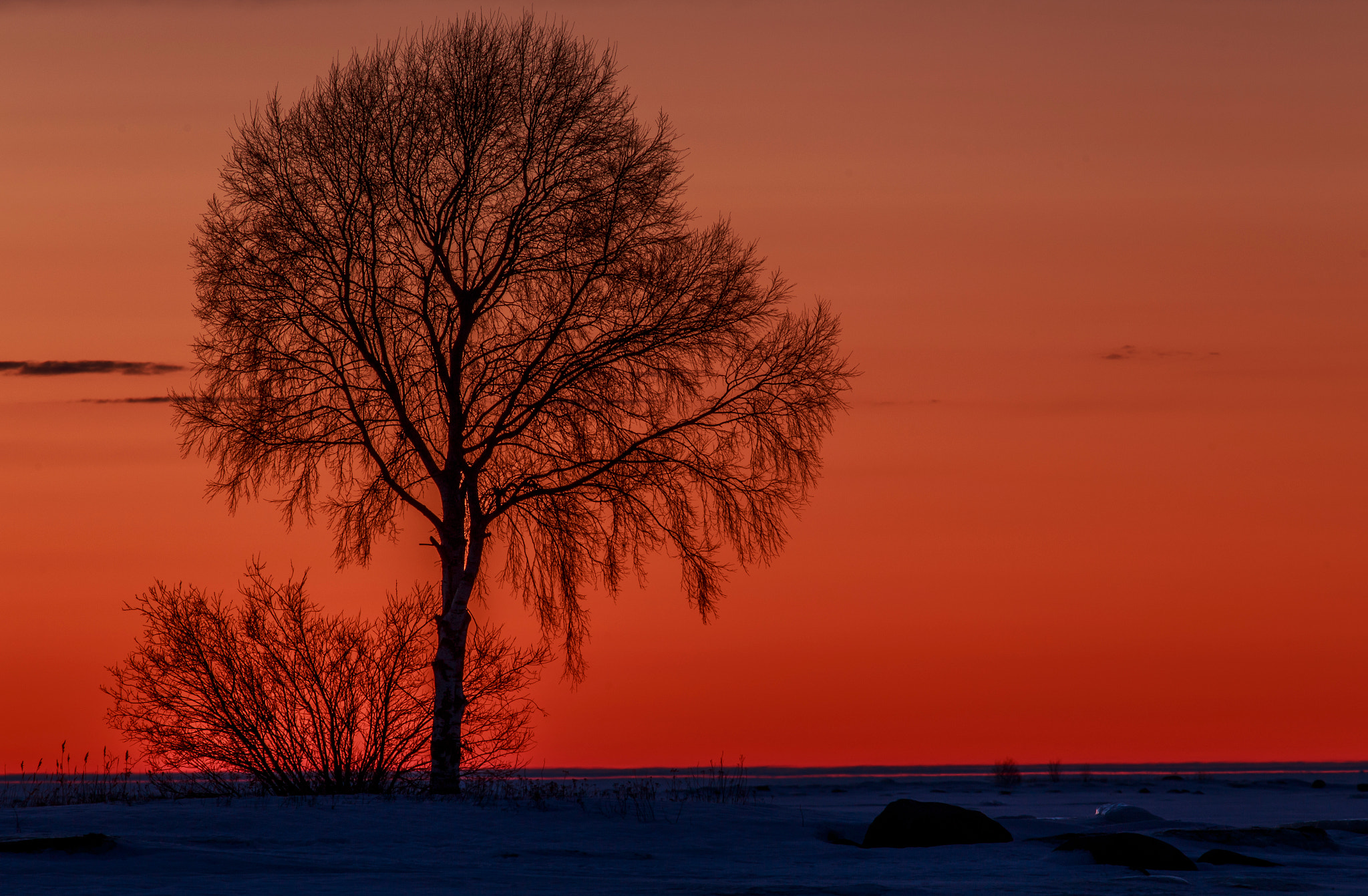 Canon EOS 6D + Canon EF 400mm F5.6L USM sample photo. Nätihamn photography