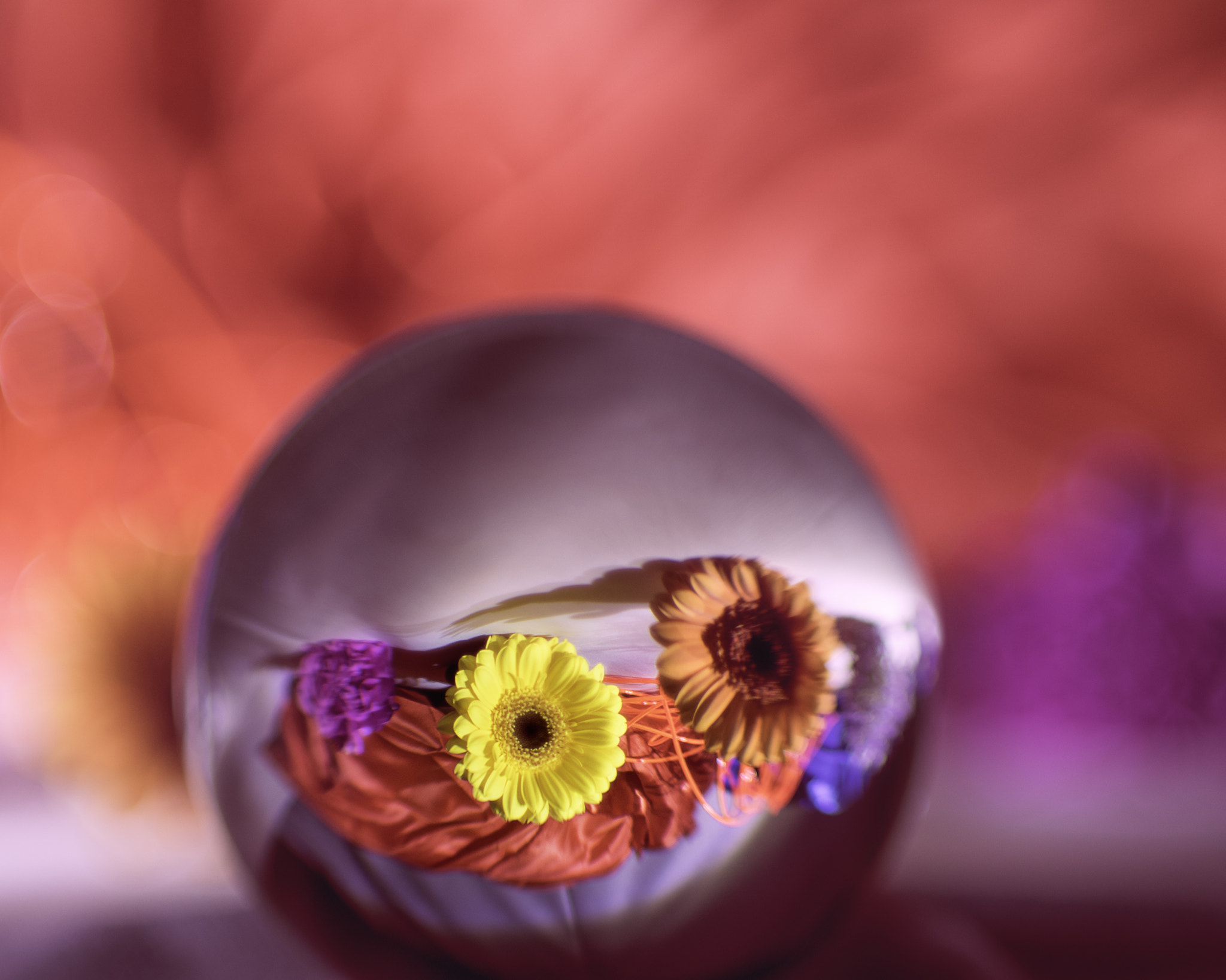 Nikon D810 + Nikon AF Nikkor 85mm F1.8D sample photo. A ball of flowers photography