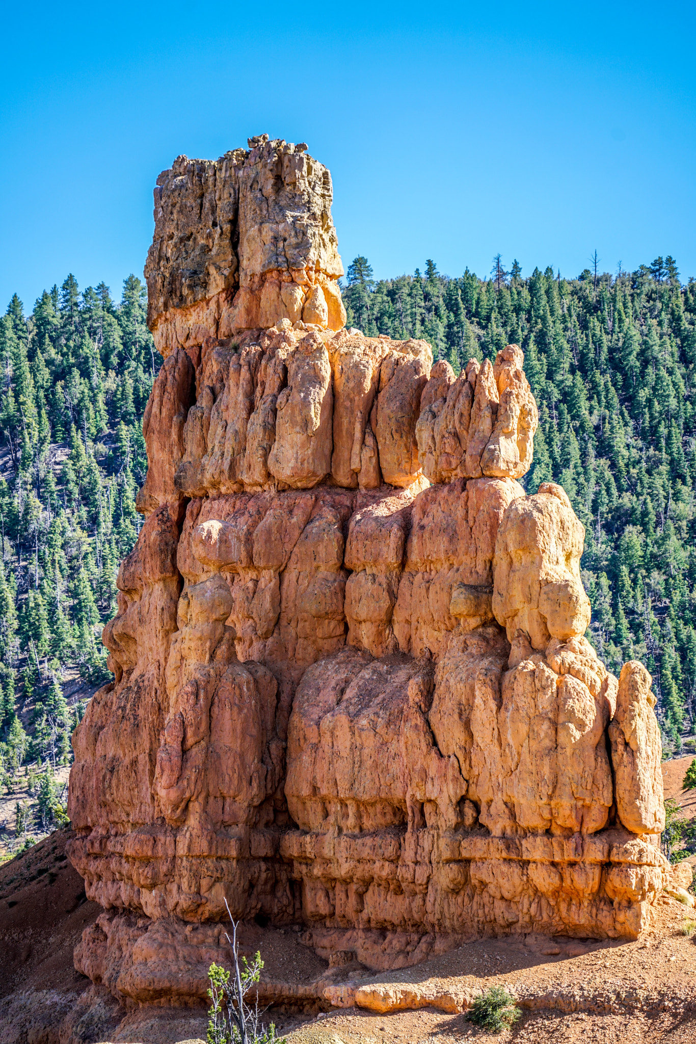 Sony FE 70-300mm F4.5-5.6 G OSS sample photo. Red canyon photography