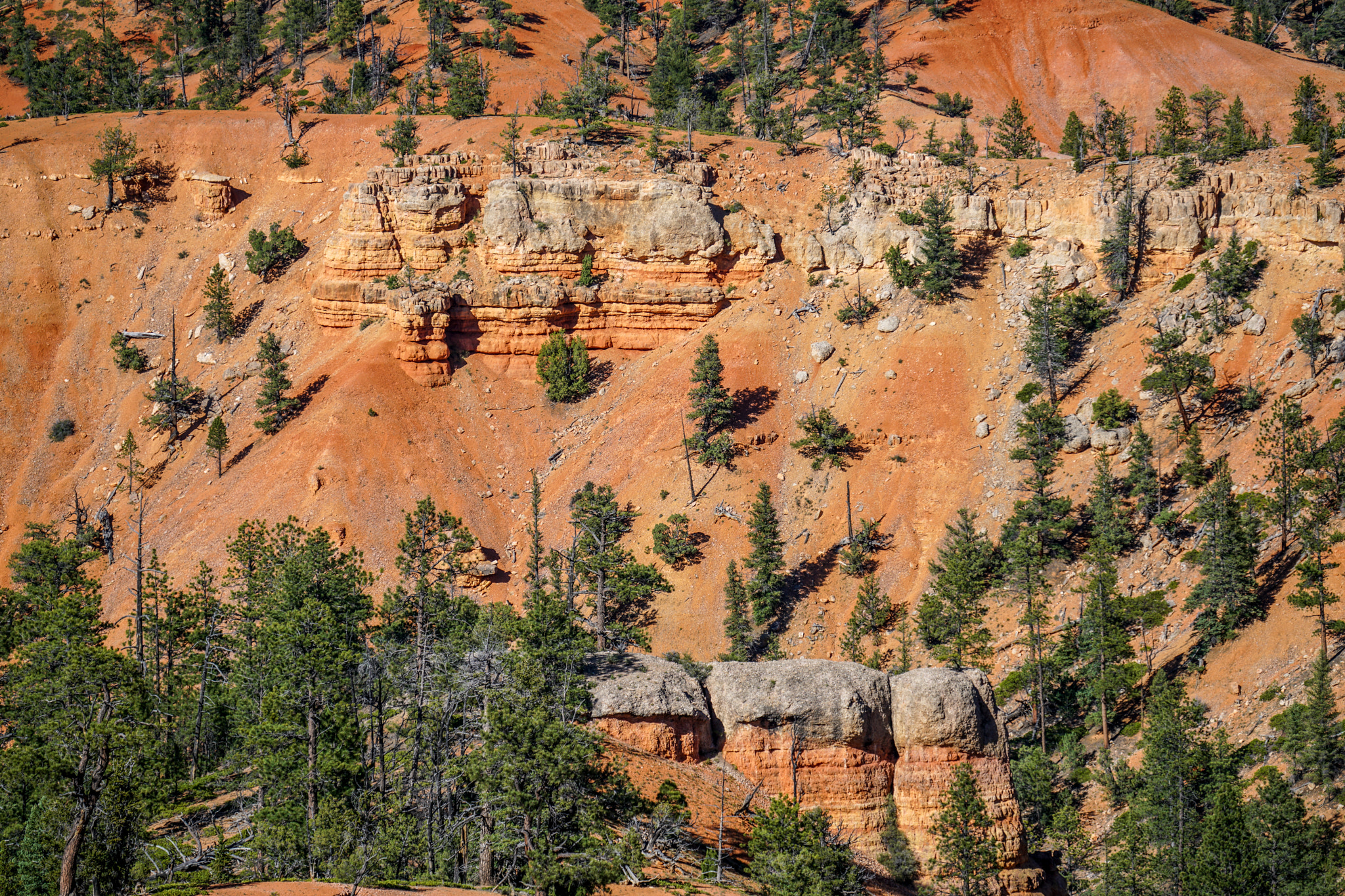 Sony FE 70-300mm F4.5-5.6 G OSS sample photo. Red canyon photography
