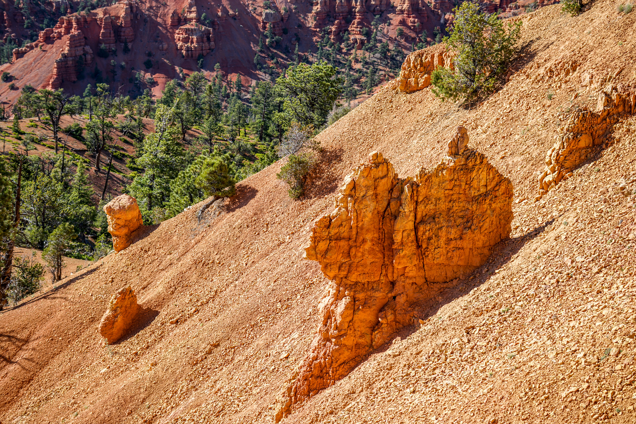 Sony a7R II + Sony FE 70-300mm F4.5-5.6 G OSS sample photo. Red canyon photography