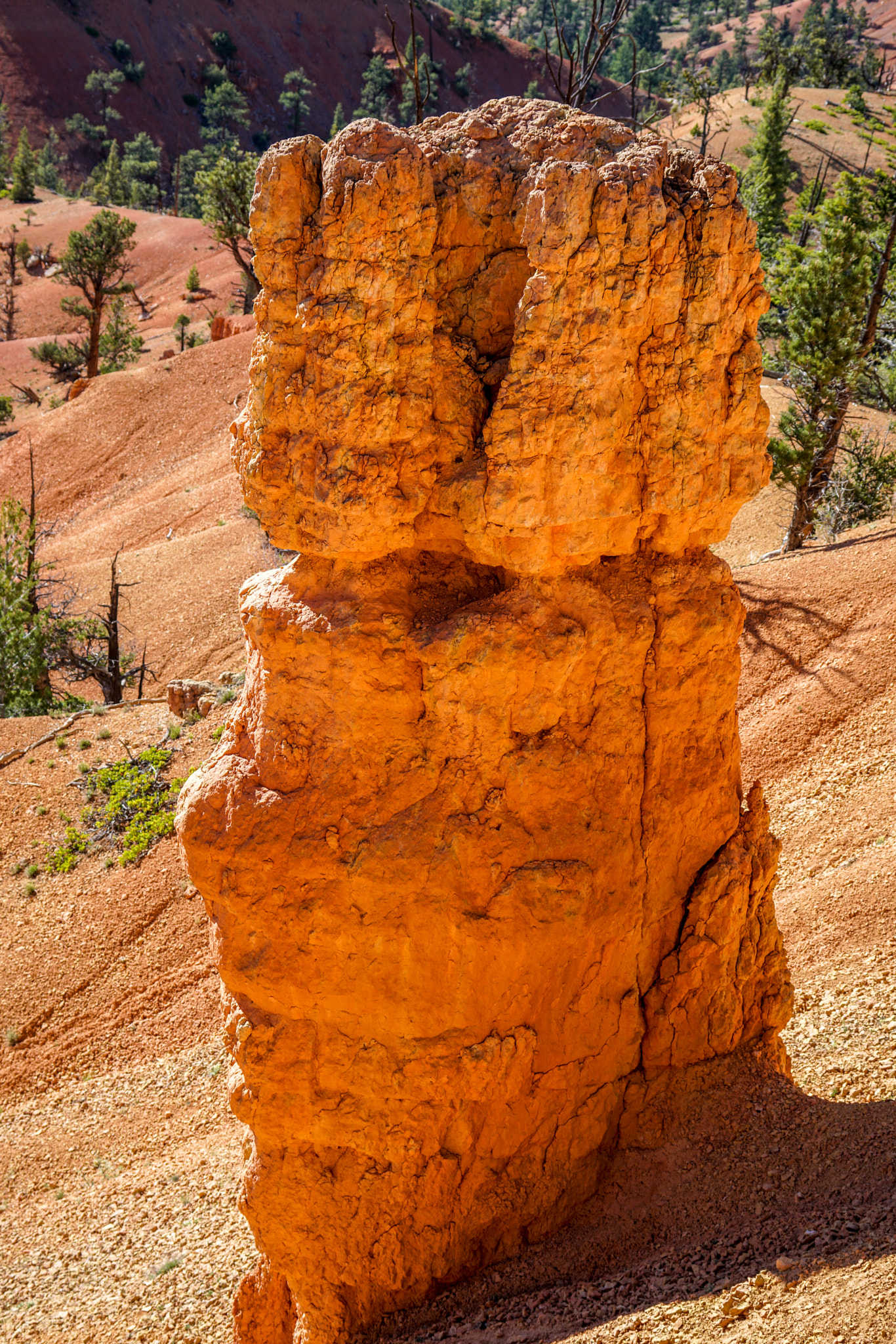 Sony a7R II + Sony FE 70-300mm F4.5-5.6 G OSS sample photo. Red canyon photography