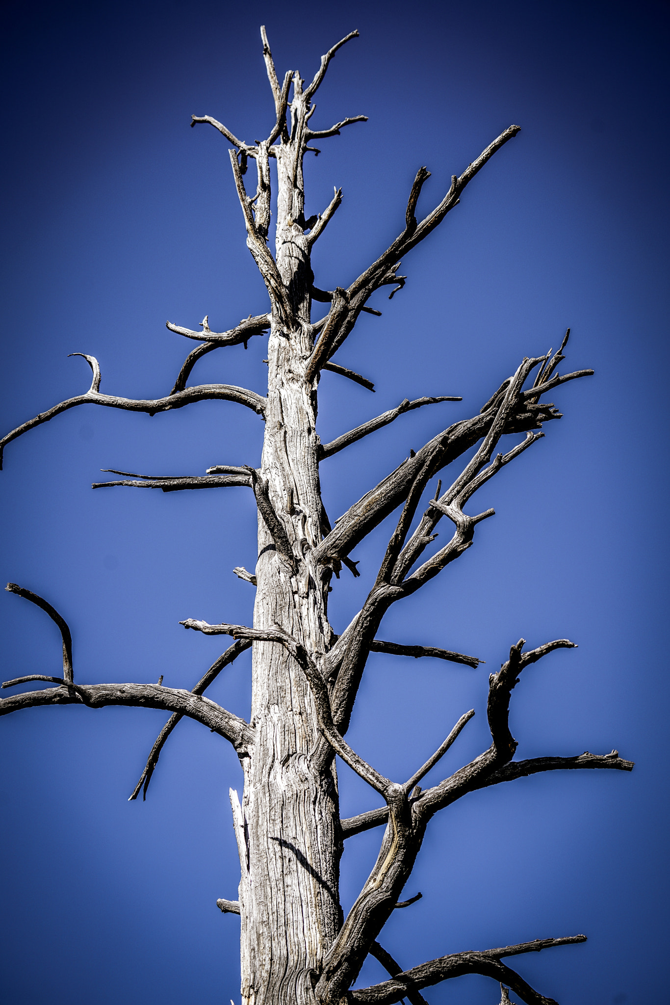 Sony FE 70-300mm F4.5-5.6 G OSS sample photo. Red canyon photography