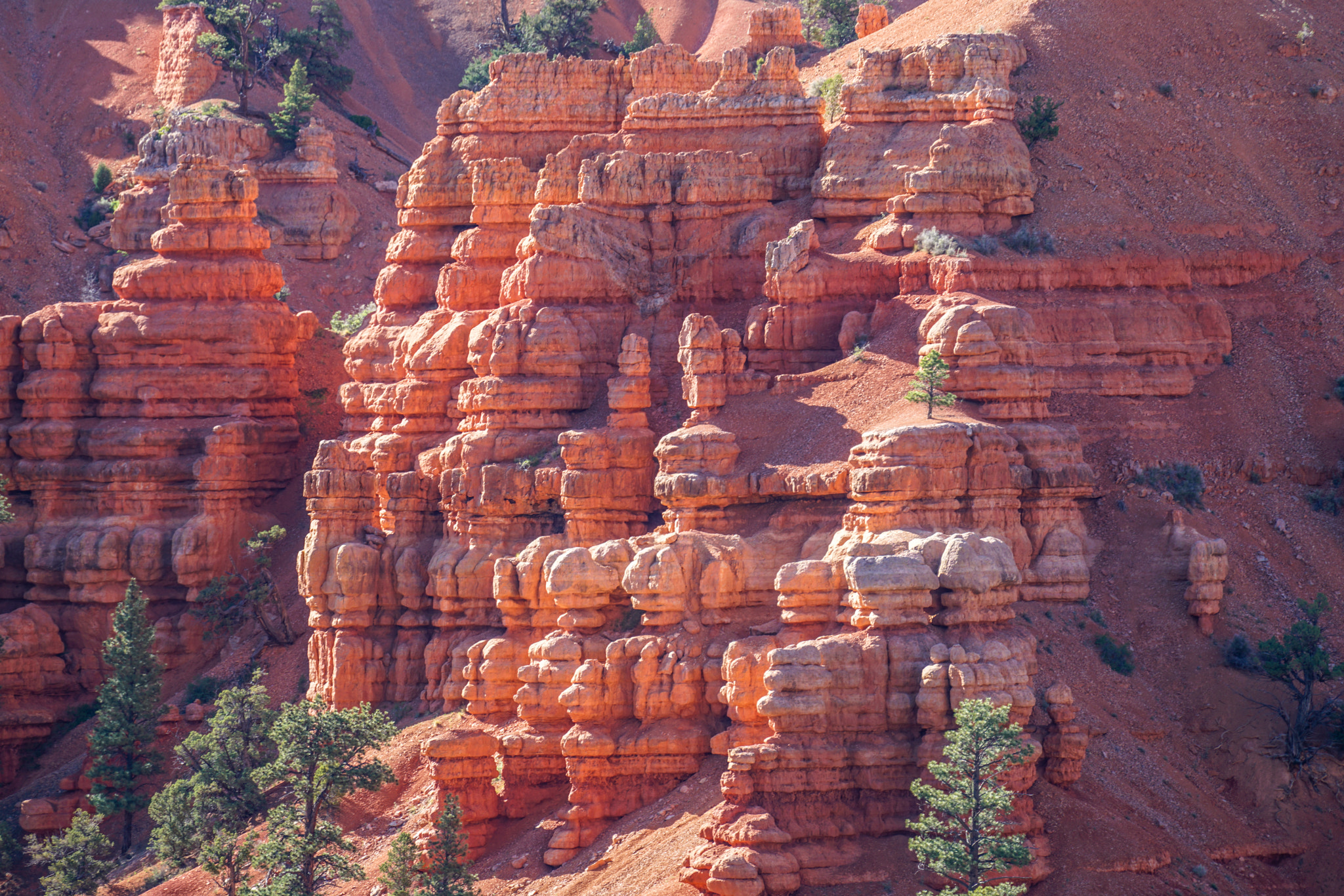 Sony FE 70-300mm F4.5-5.6 G OSS sample photo. Red canyon photography
