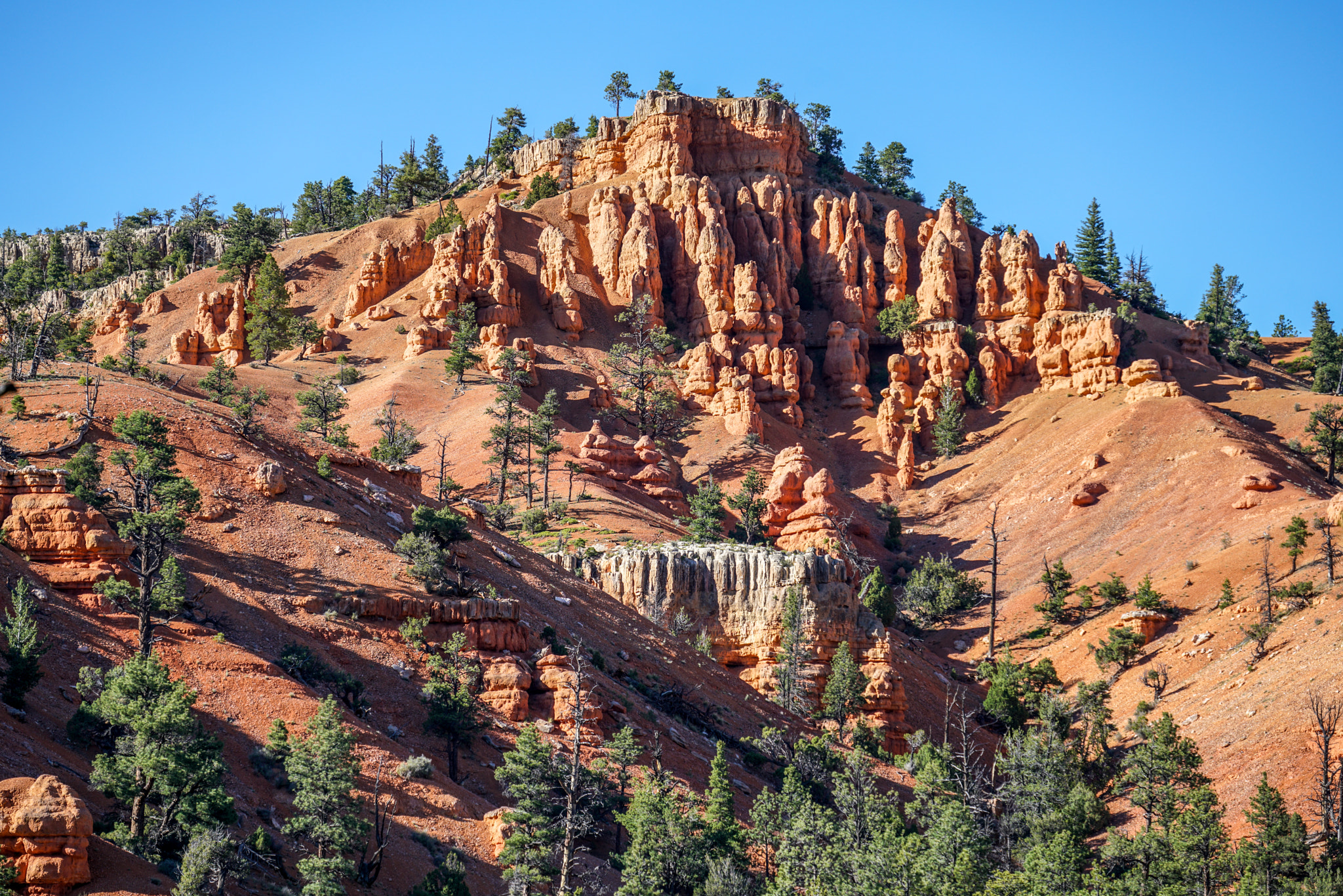 Sony FE 70-300mm F4.5-5.6 G OSS sample photo. Red canyon photography