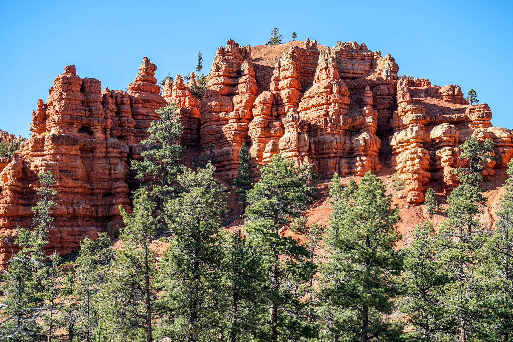 Sony a7R II + Sony FE 70-300mm F4.5-5.6 G OSS sample photo. Red canyon photography