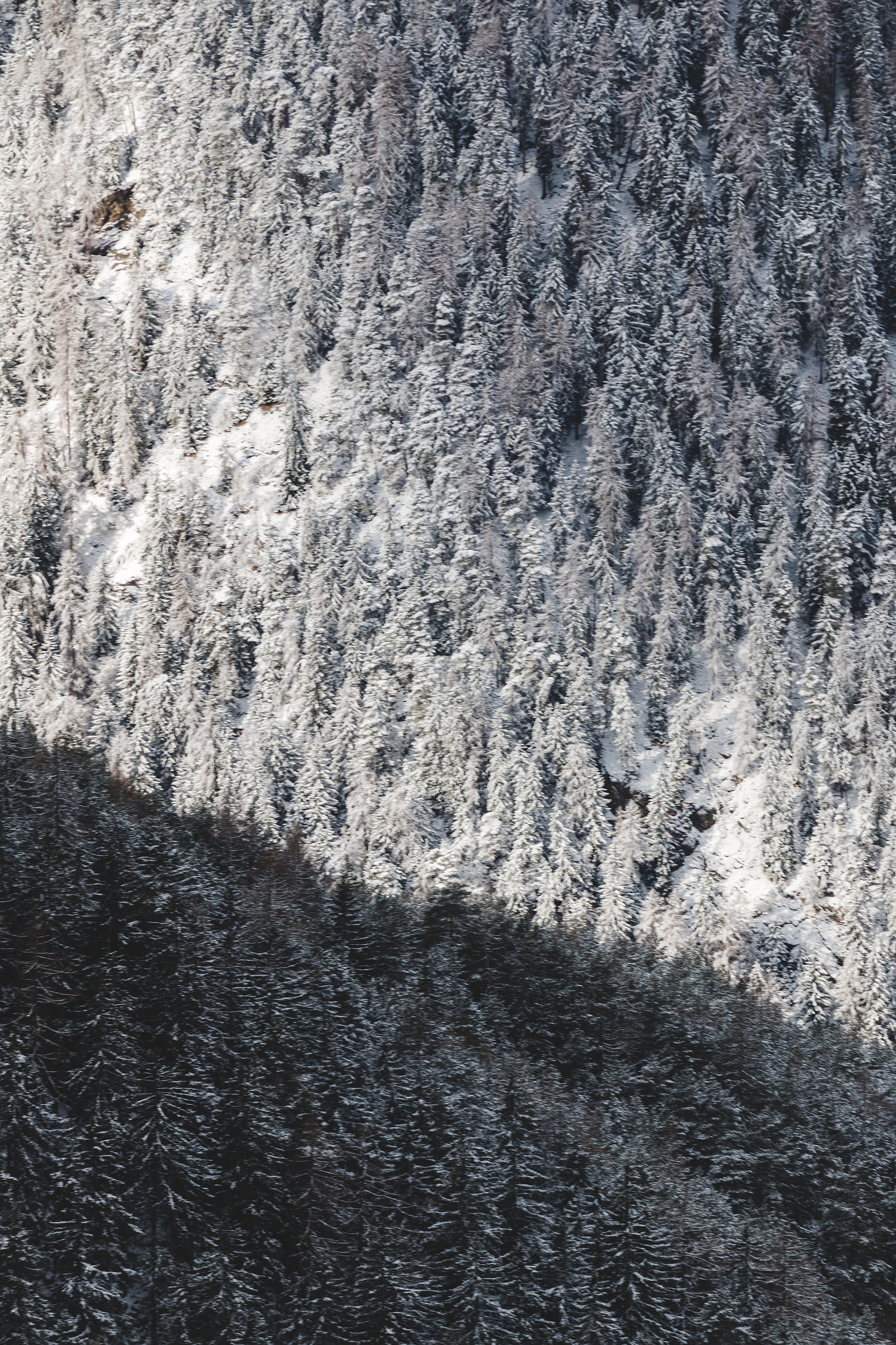 Canon EOS 70D + Canon EF 70-200mm F4L IS USM sample photo. Light & dark. photography