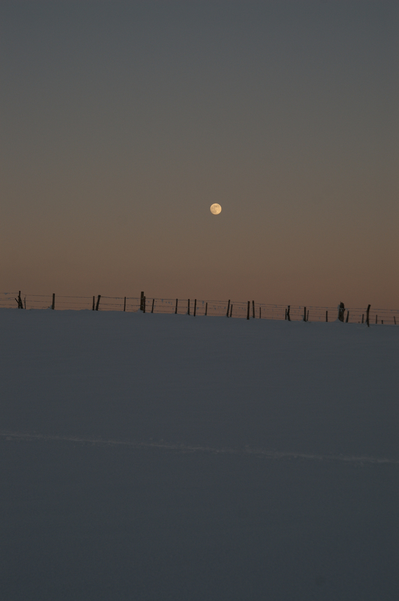 KONICA MINOLTA DYNAX 7D sample photo. Winter again photography
