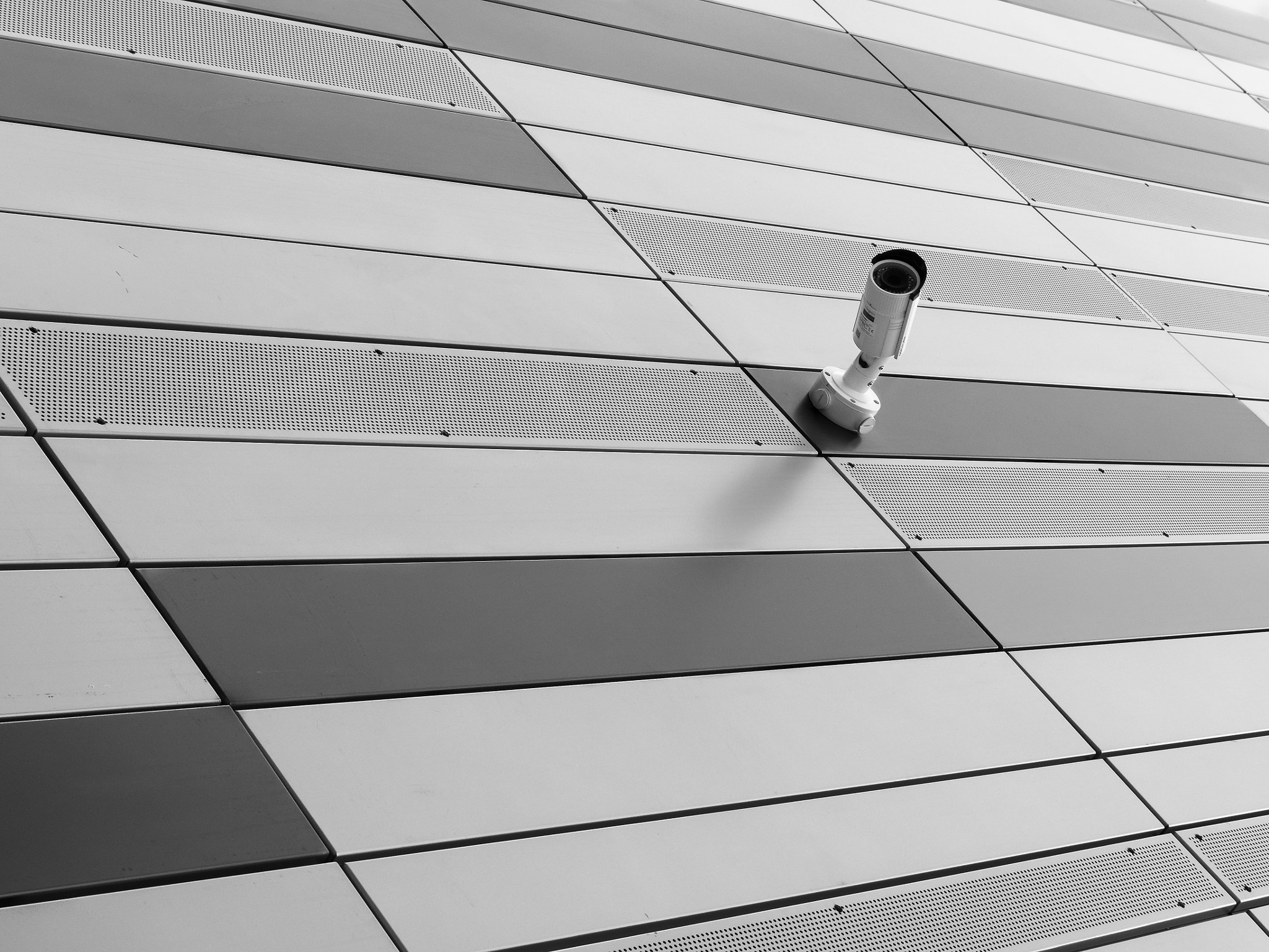 Panasonic Lumix G X Vario 12-35mm F2.8 ASPH Power OIS sample photo. Watching photography