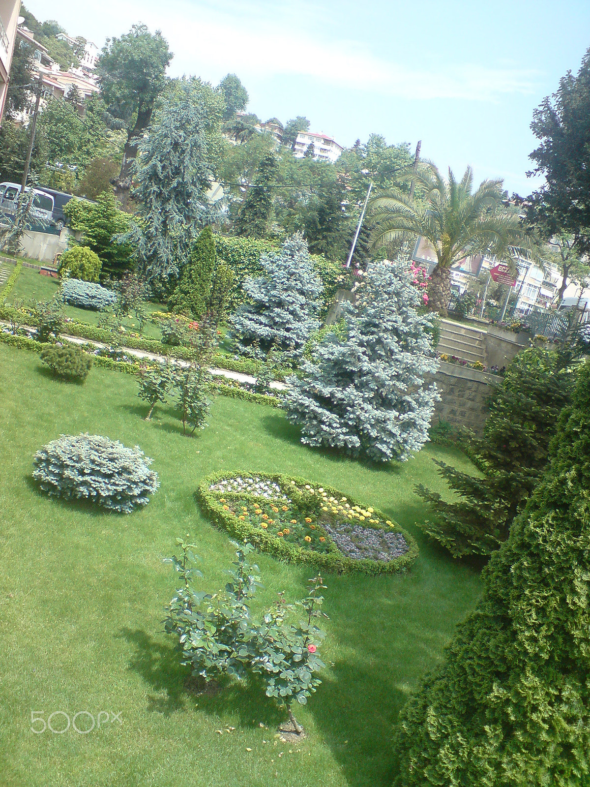 Sony Ericsson K850i sample photo. Bahçe photography