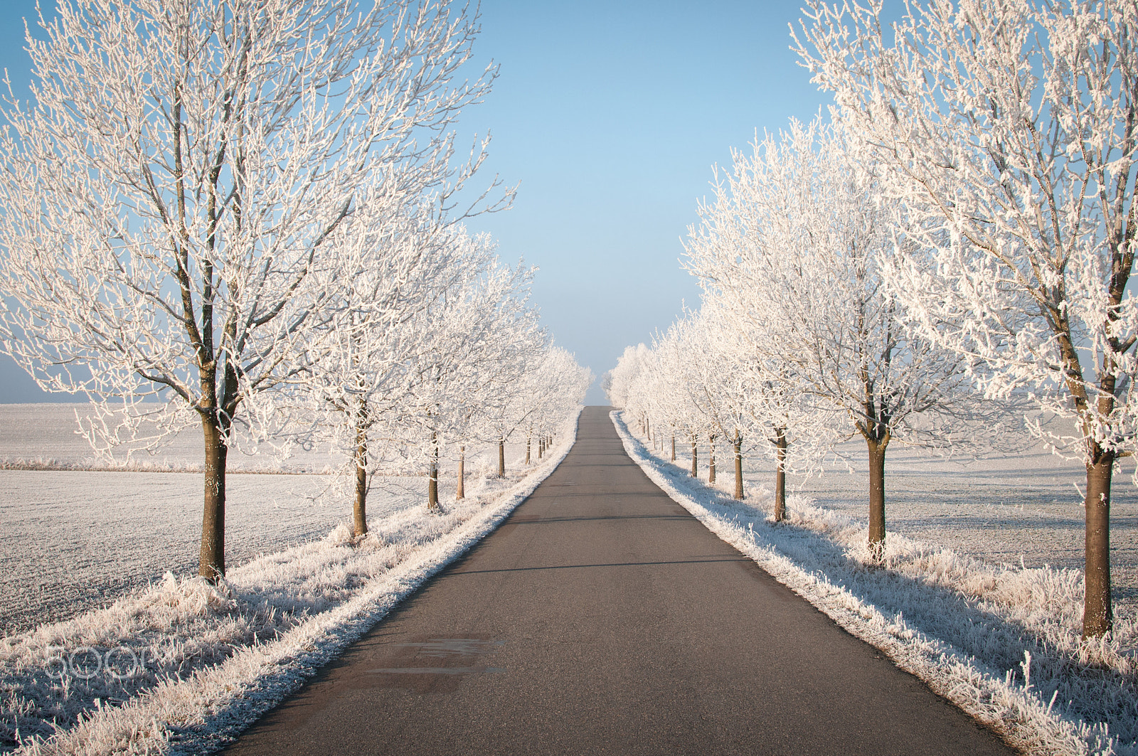 Nikon D300 + Nikon AF-S DX Nikkor 35mm F1.8G sample photo. Winter landscape with road and trees photography