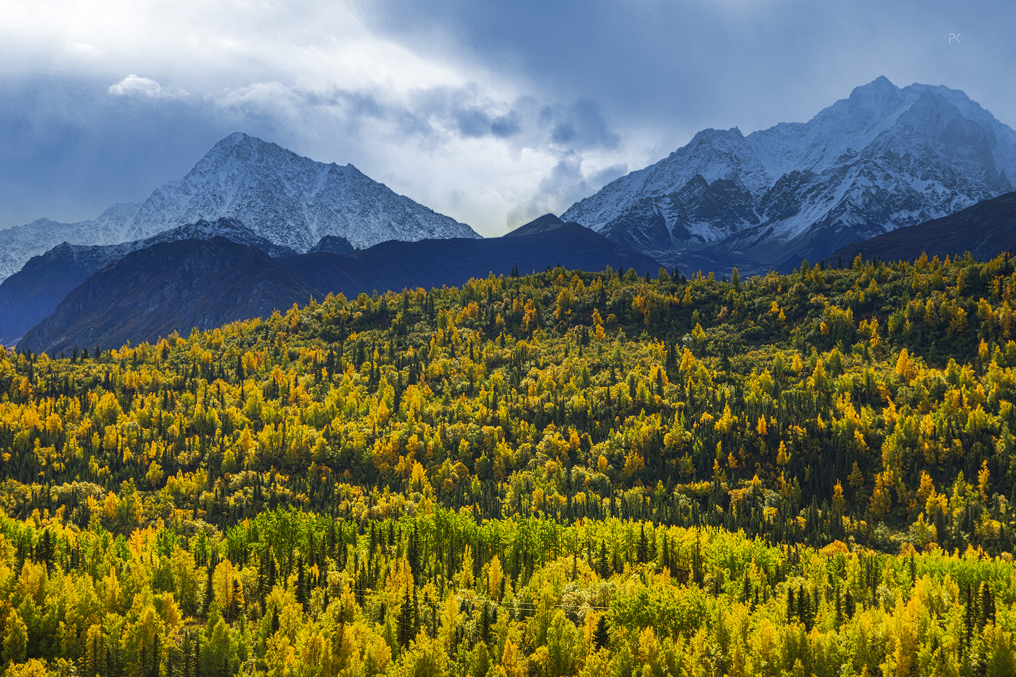 Canon EF 24-105mm F4L IS USM sample photo. Paradise land photography