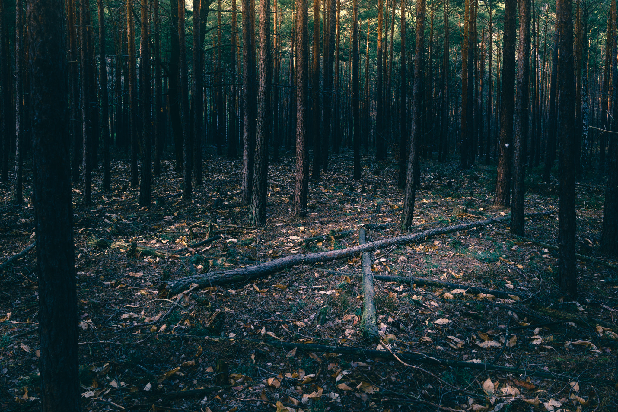 35mm F2.0 sample photo. X marks the spot photography