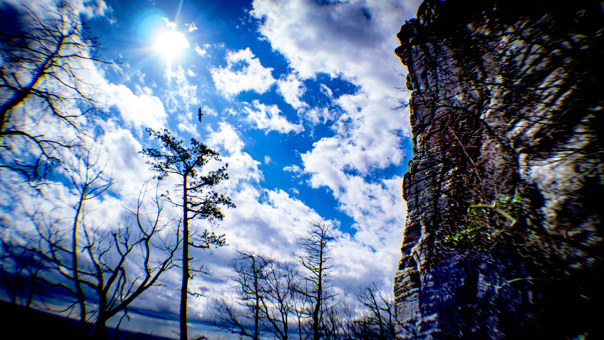 Sony E 16mm F2.8 sample photo. Pilot mount photography