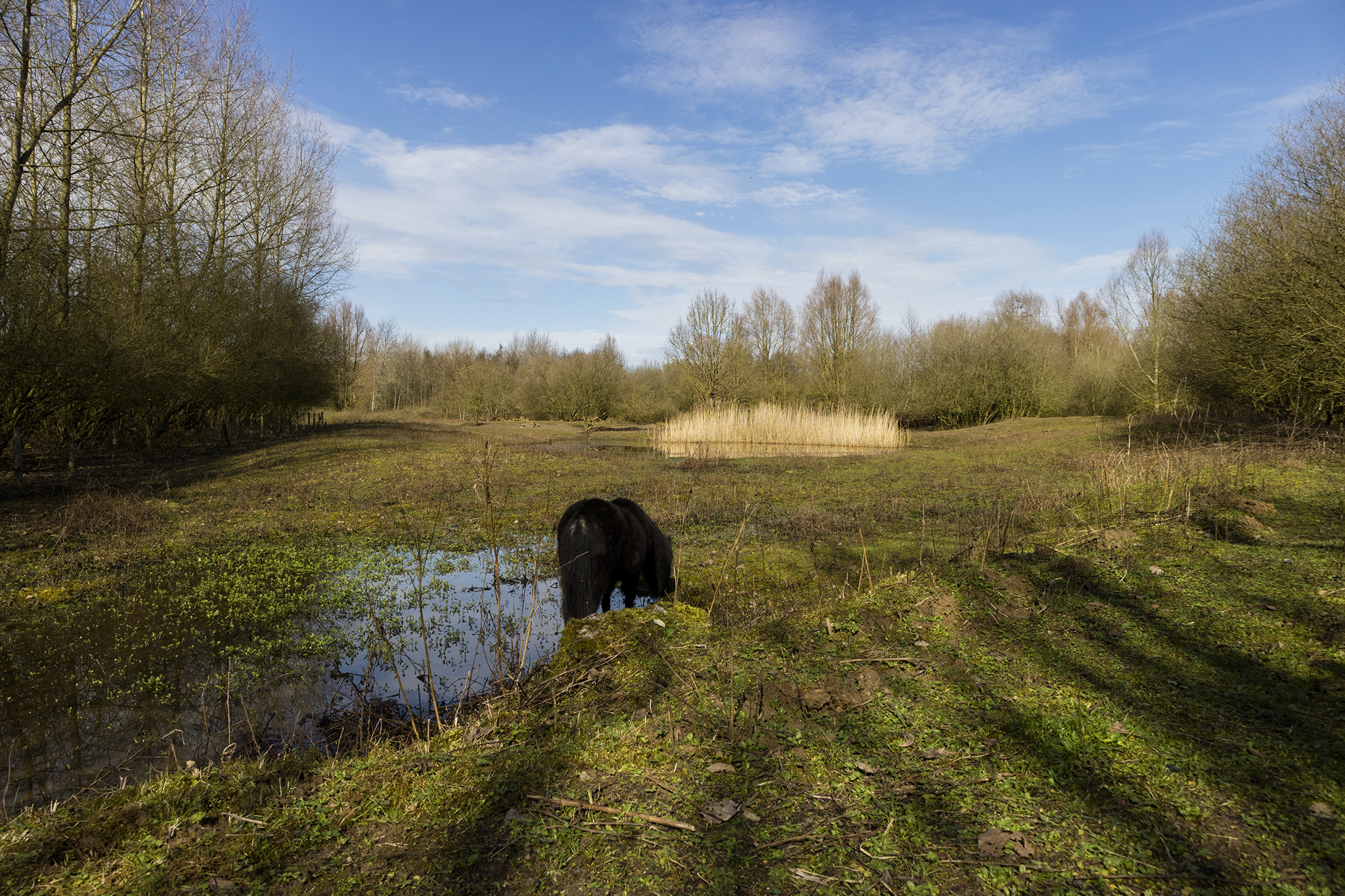 Canon EOS M3 sample photo. Nature reserve photography