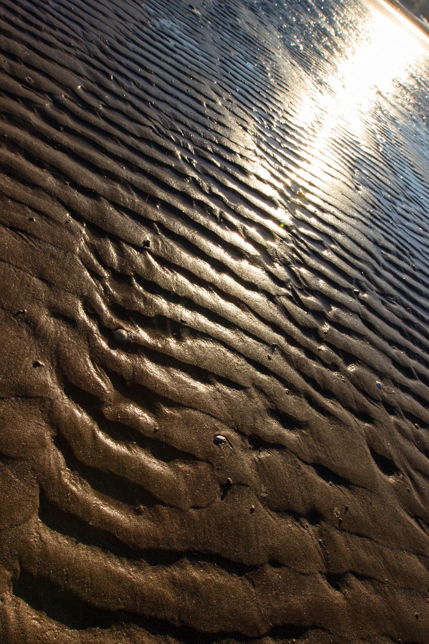 Canon EF 16-35mm F2.8L II USM sample photo. Formé par les eaux photography