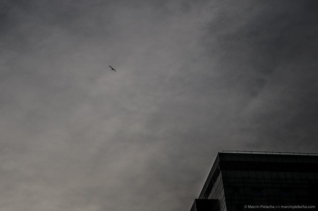 Sigma 17-50mm F2.8 EX DC OS HSM sample photo. Dsc photography