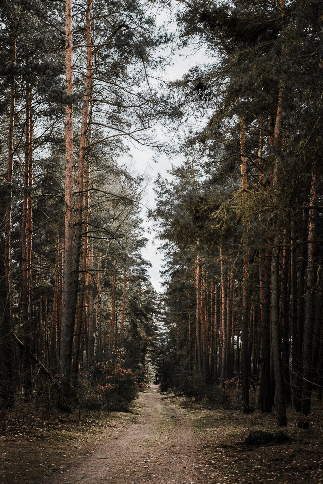 Fujifilm X-Pro2 + Fujifilm XF 35mm F2 R WR sample photo. Nicht verloren gehen photography